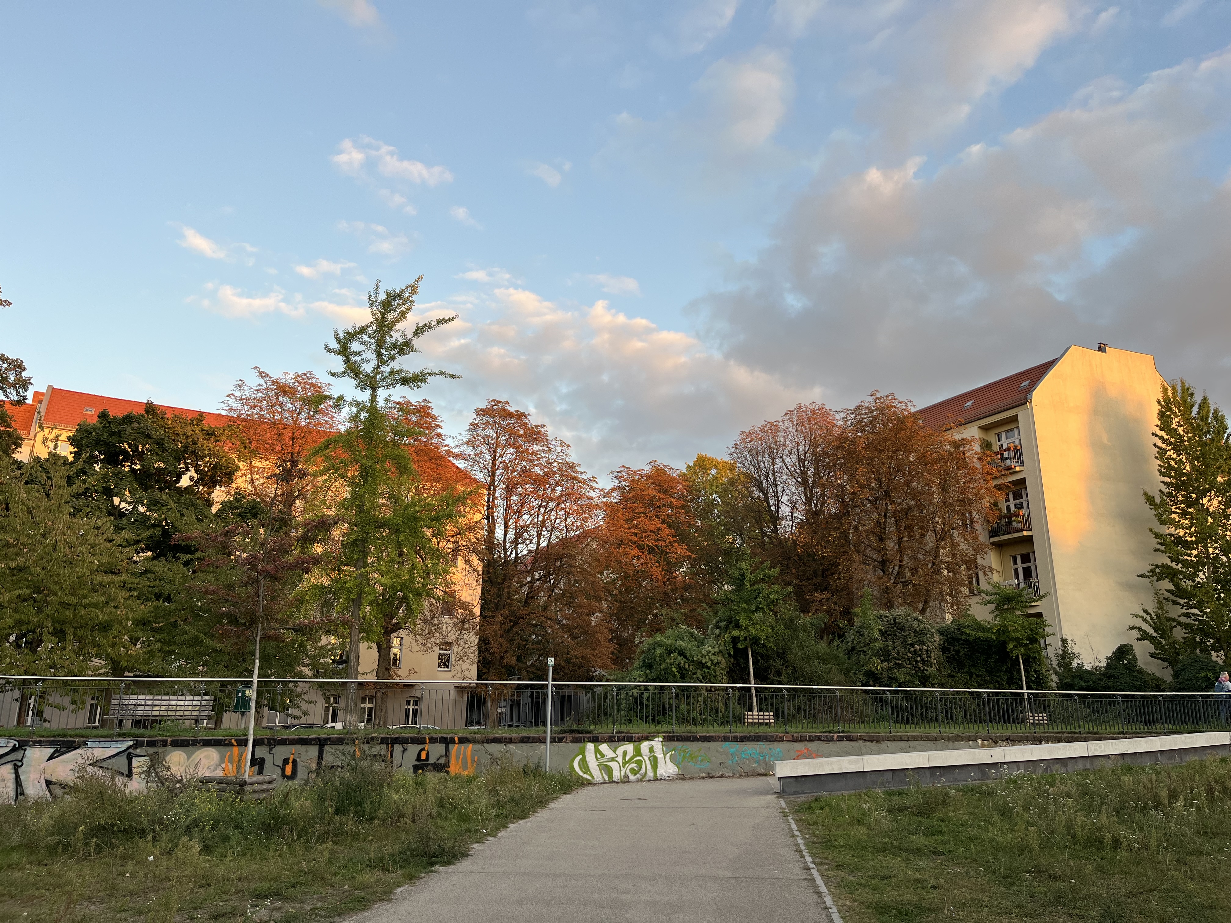 image-20
