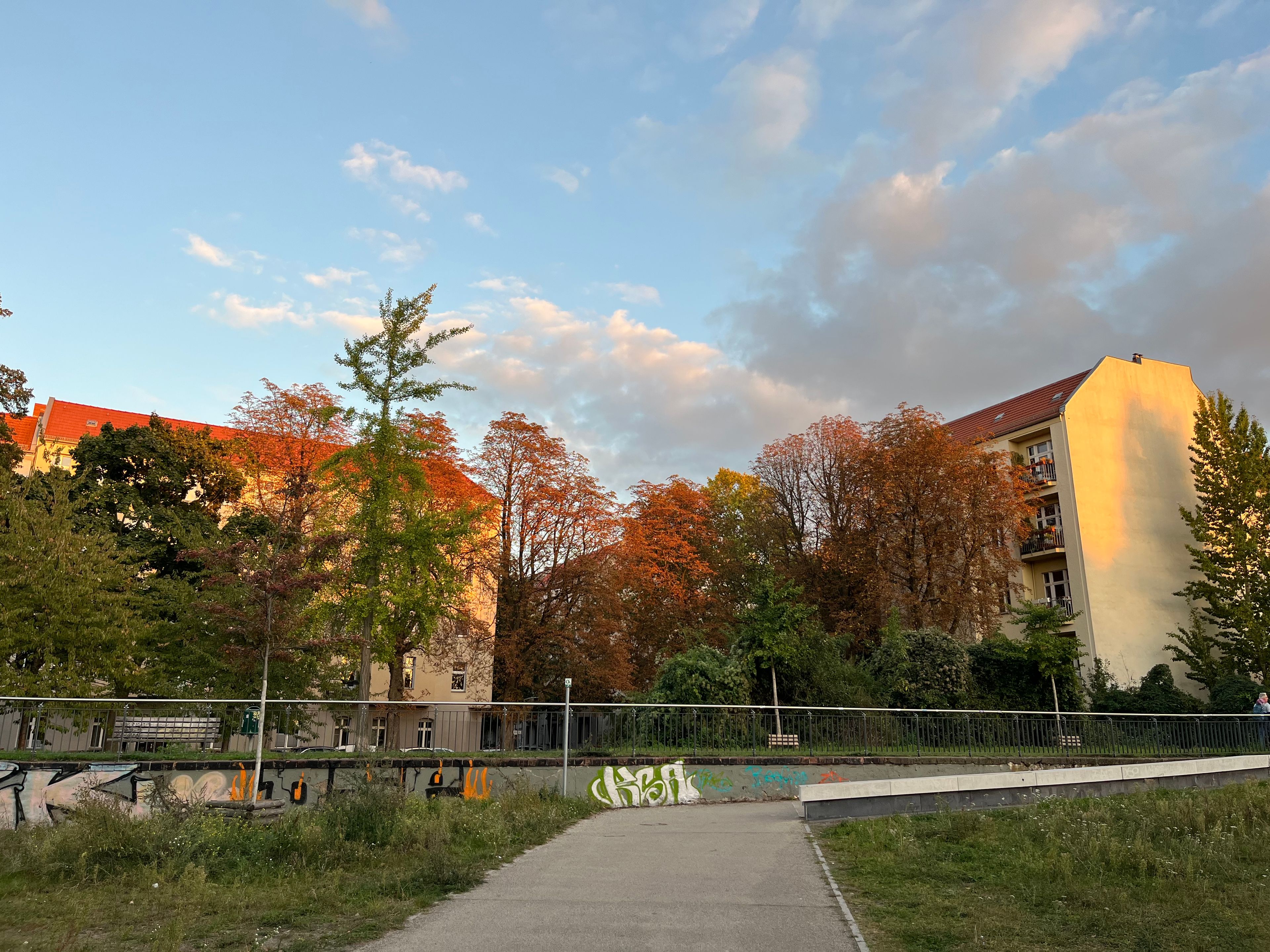 image-20