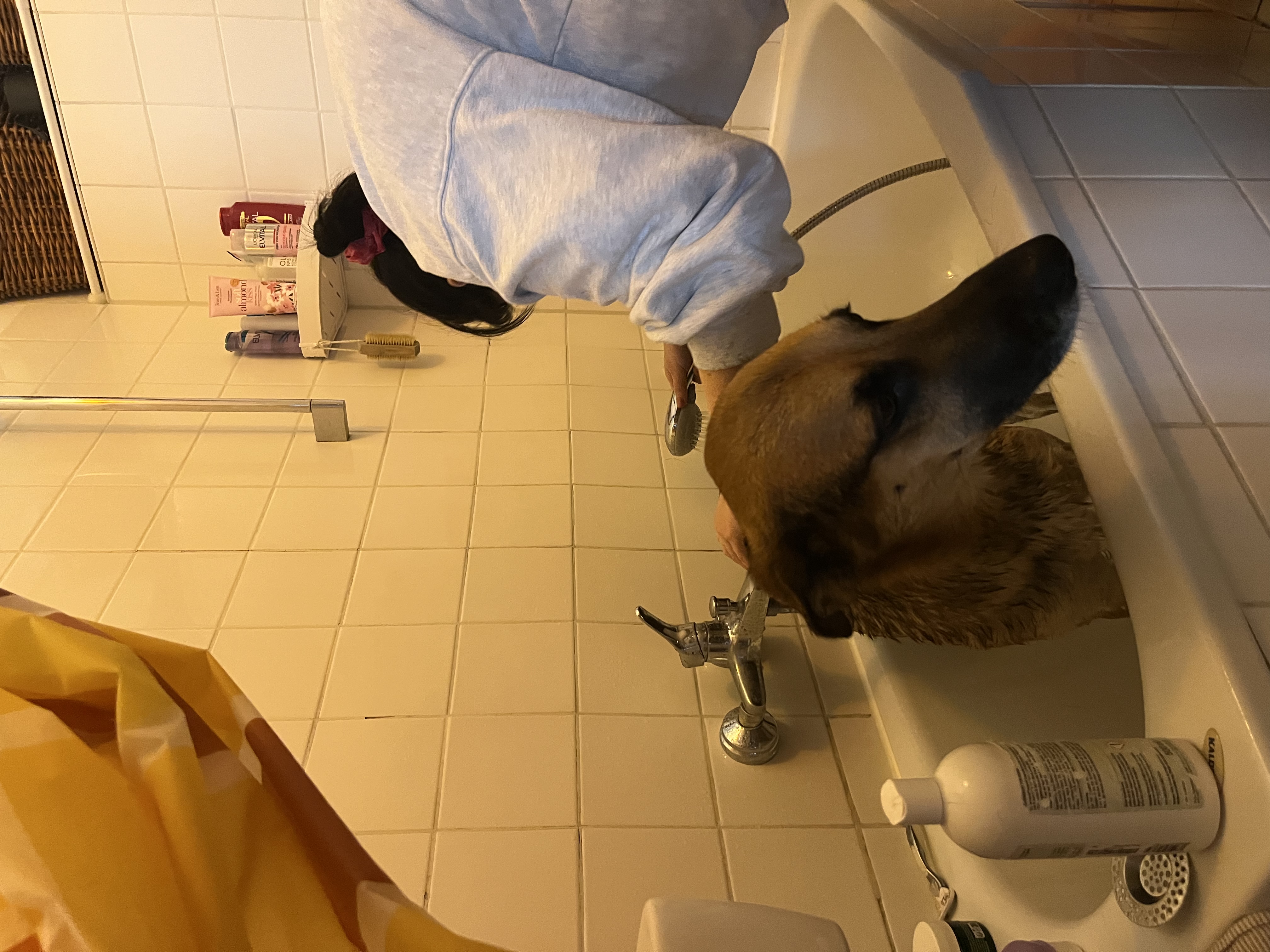 image-18