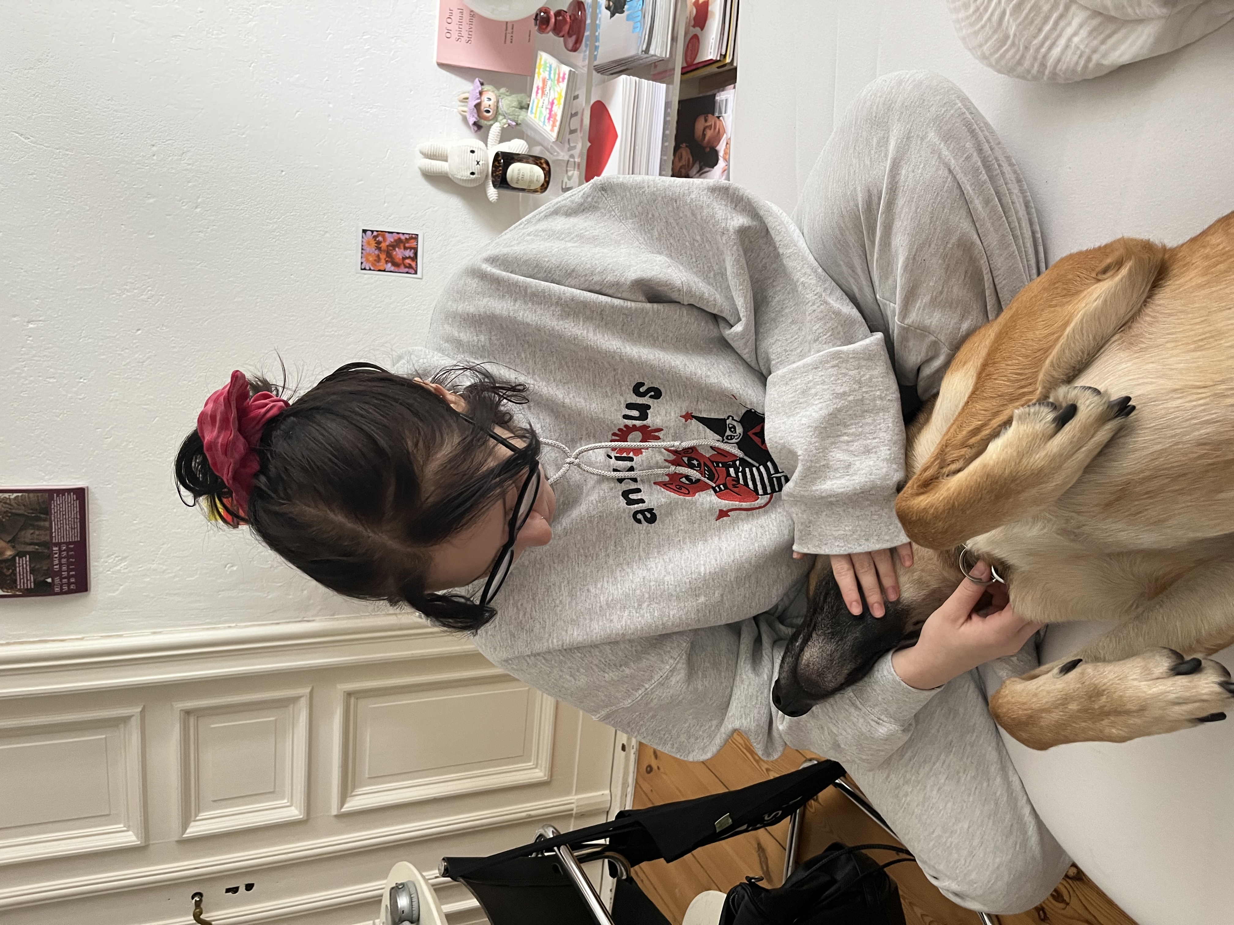 image-12