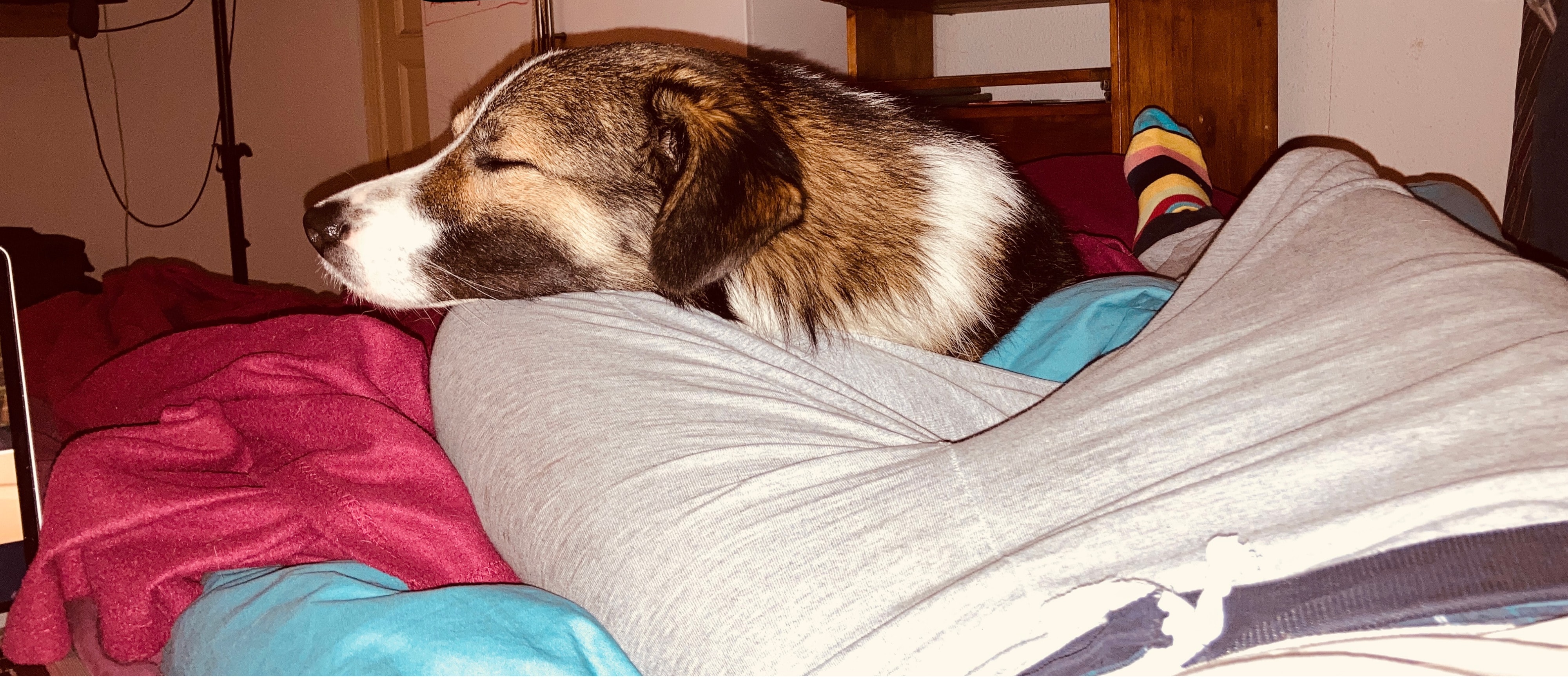 image-6