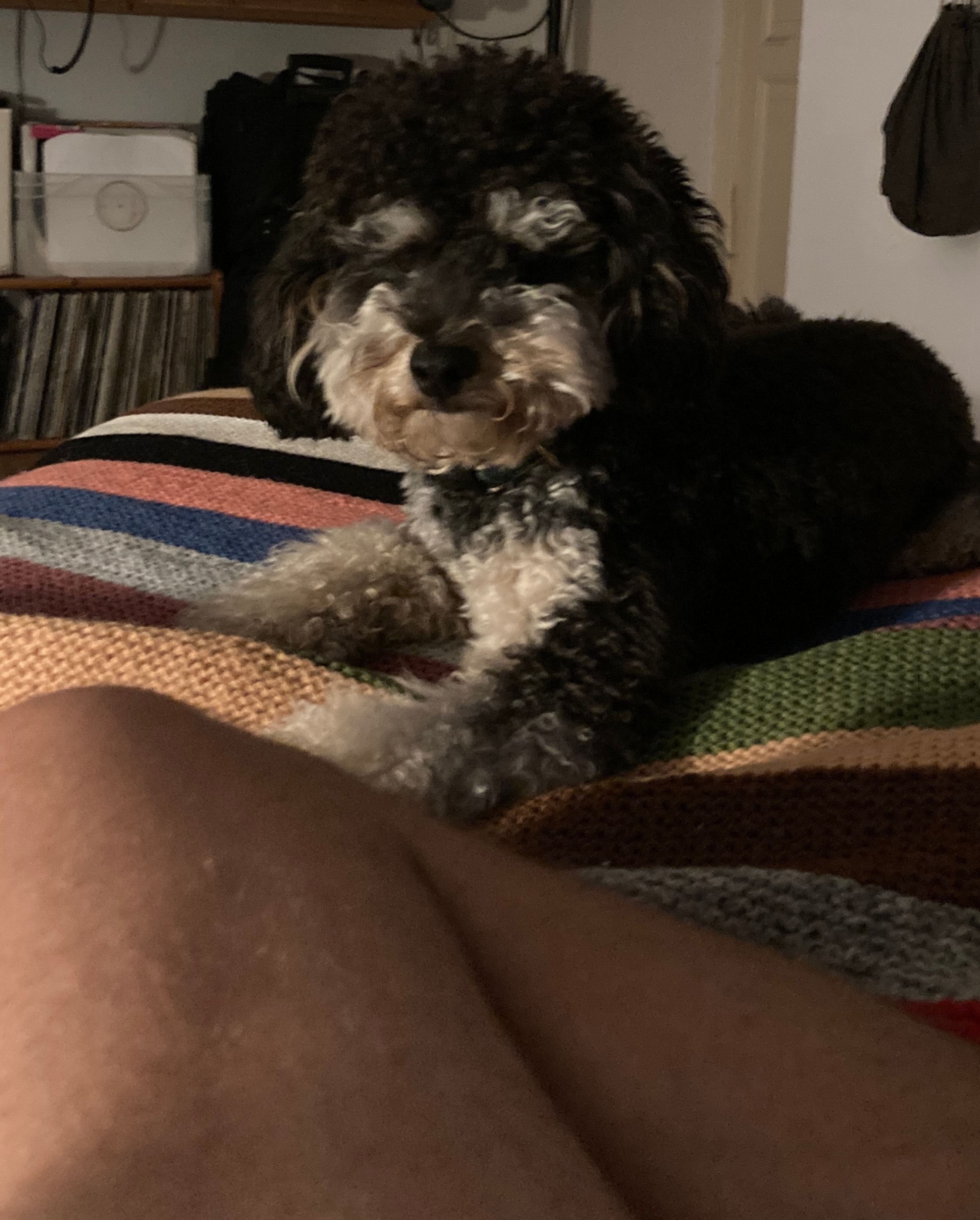 image-8