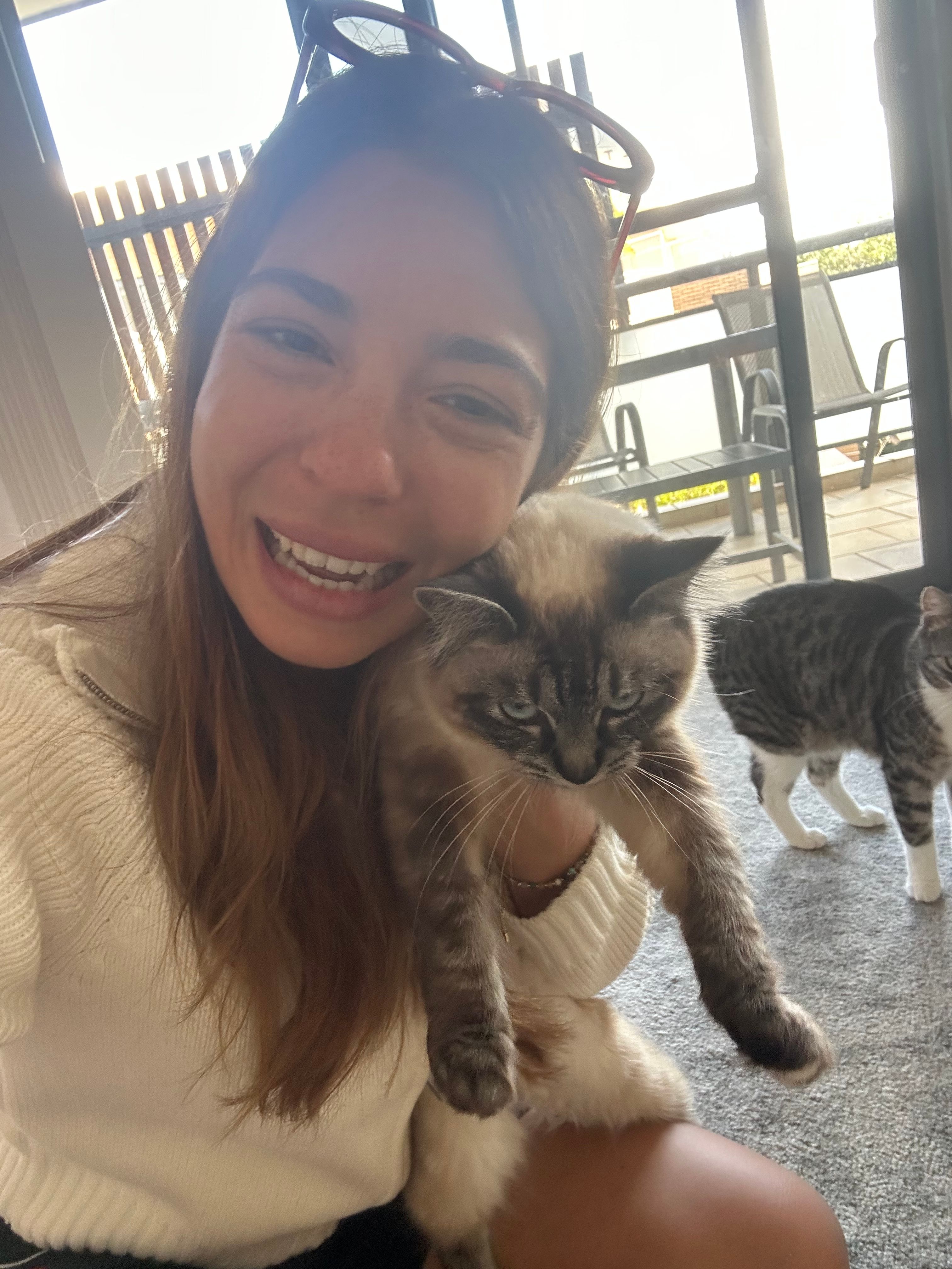 image-5