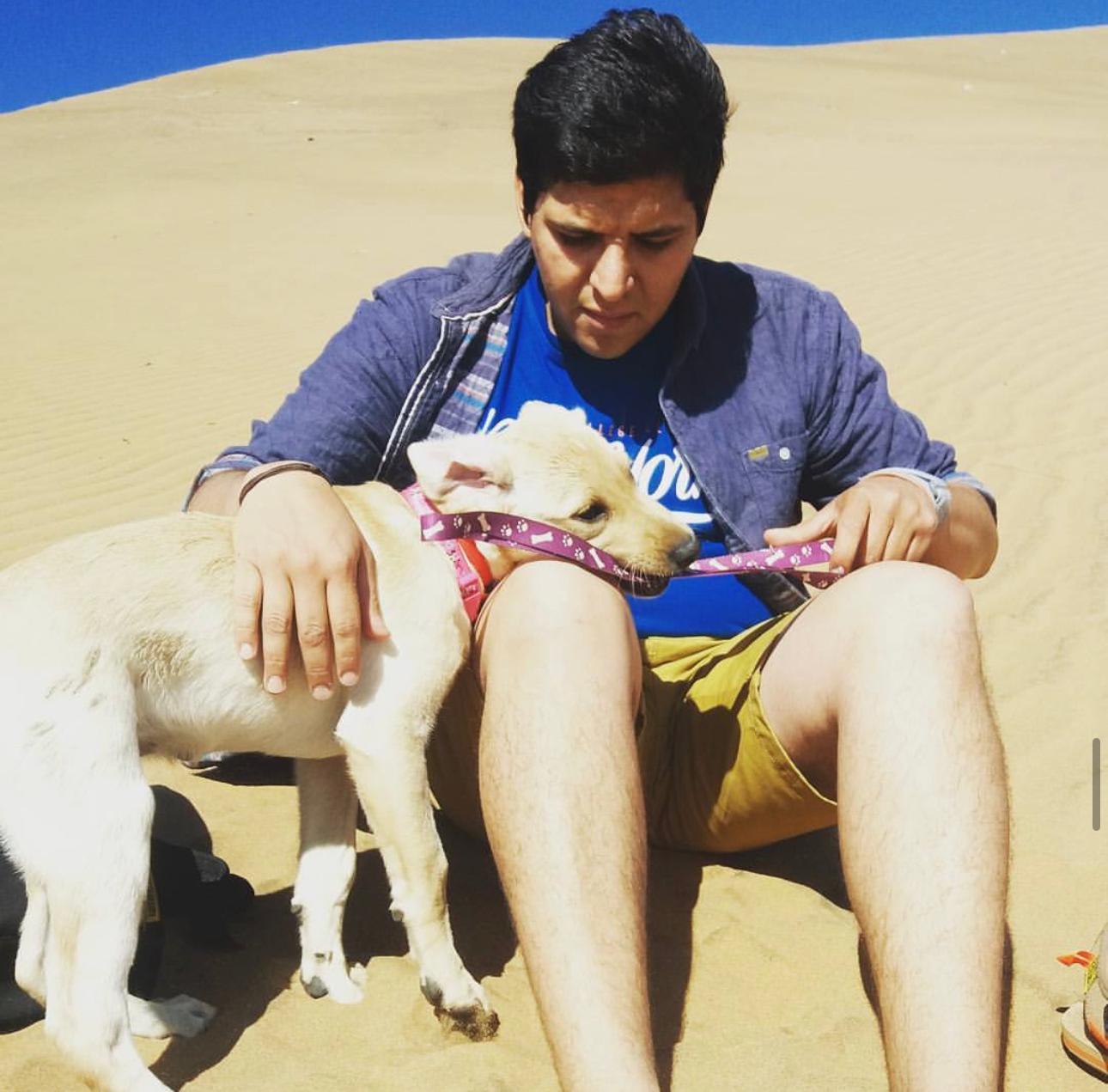image-4