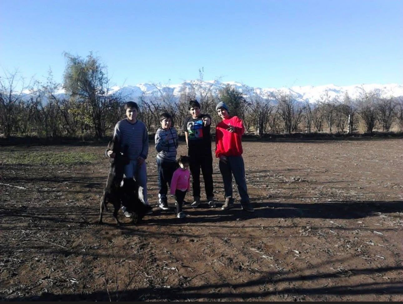 image-6