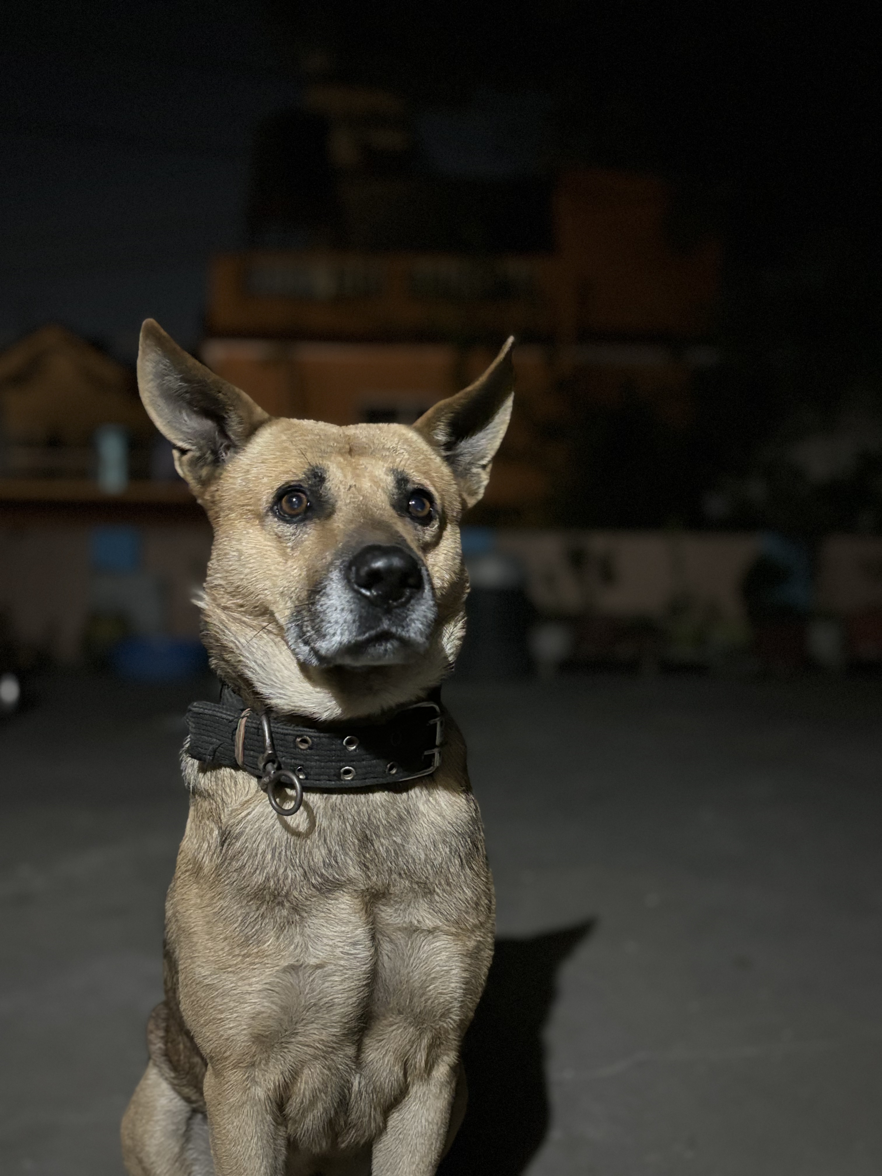 image-7