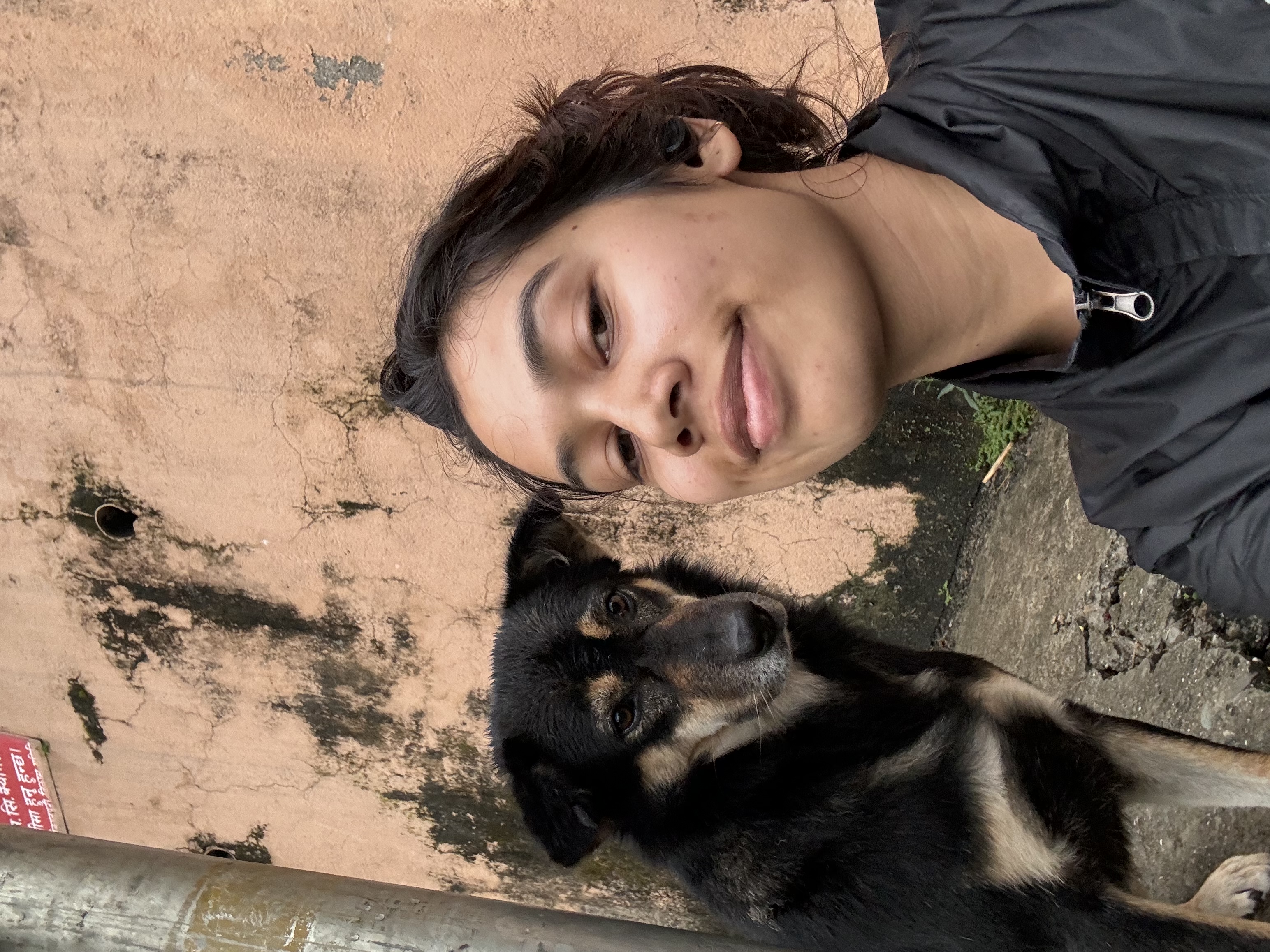 image-4