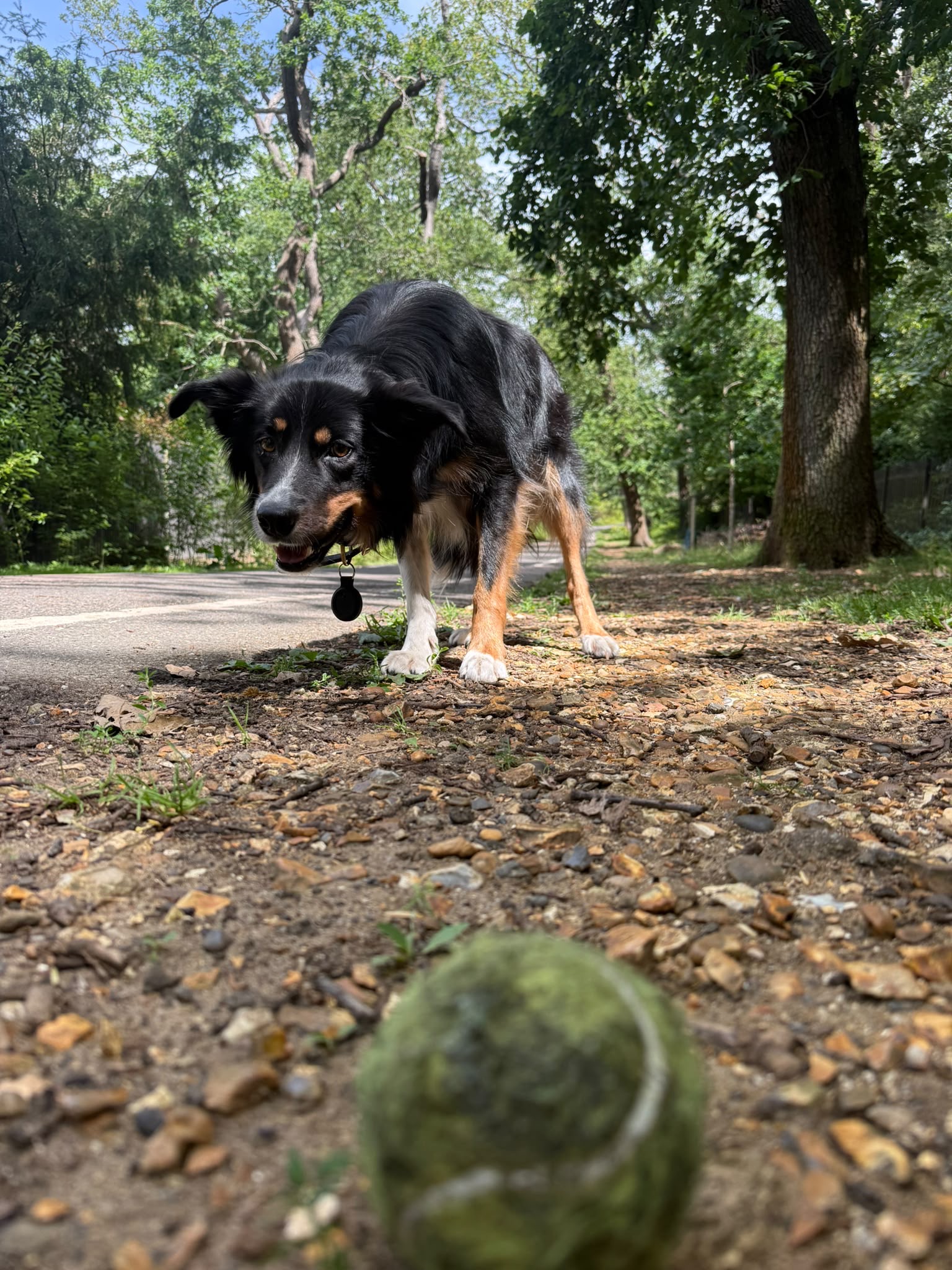 image-8