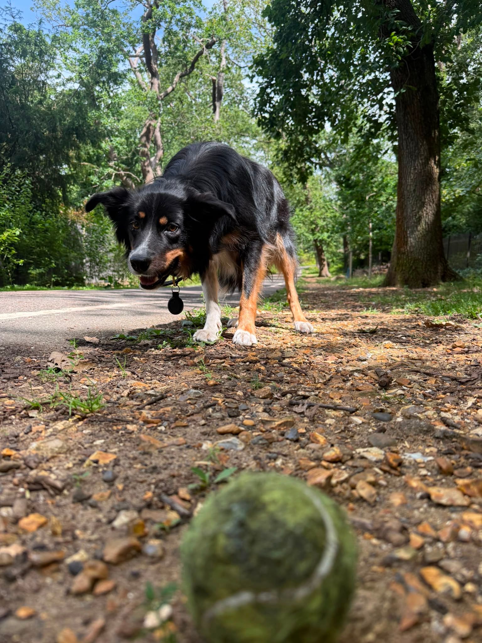 image-8