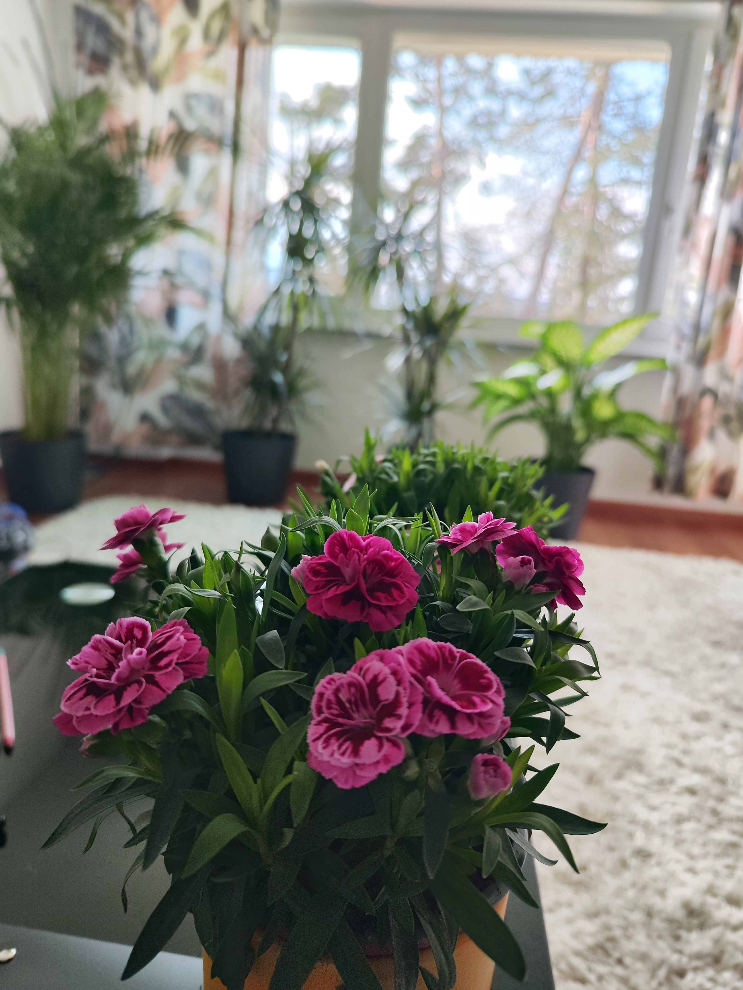 image-18