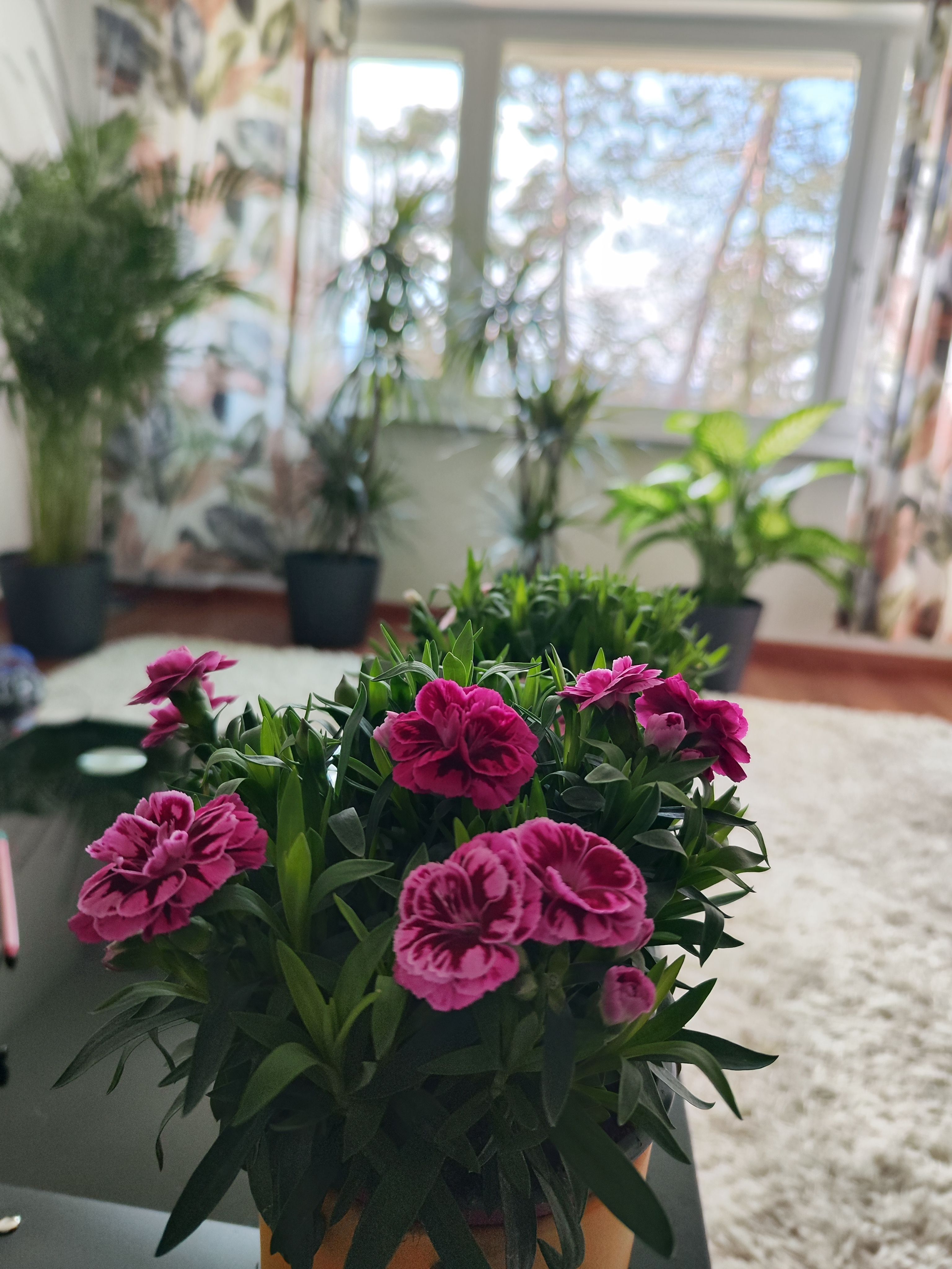 image-18