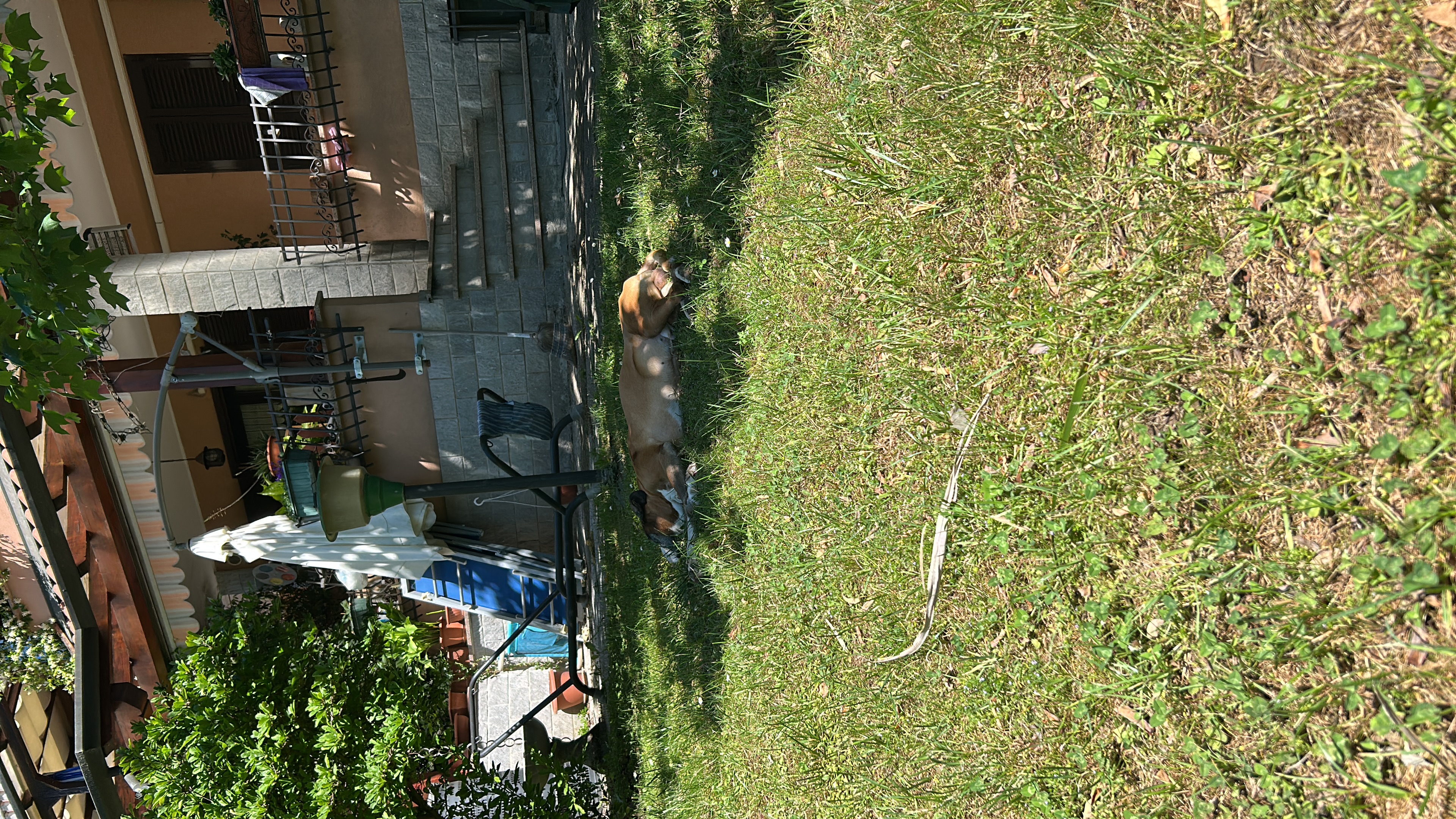 image-21