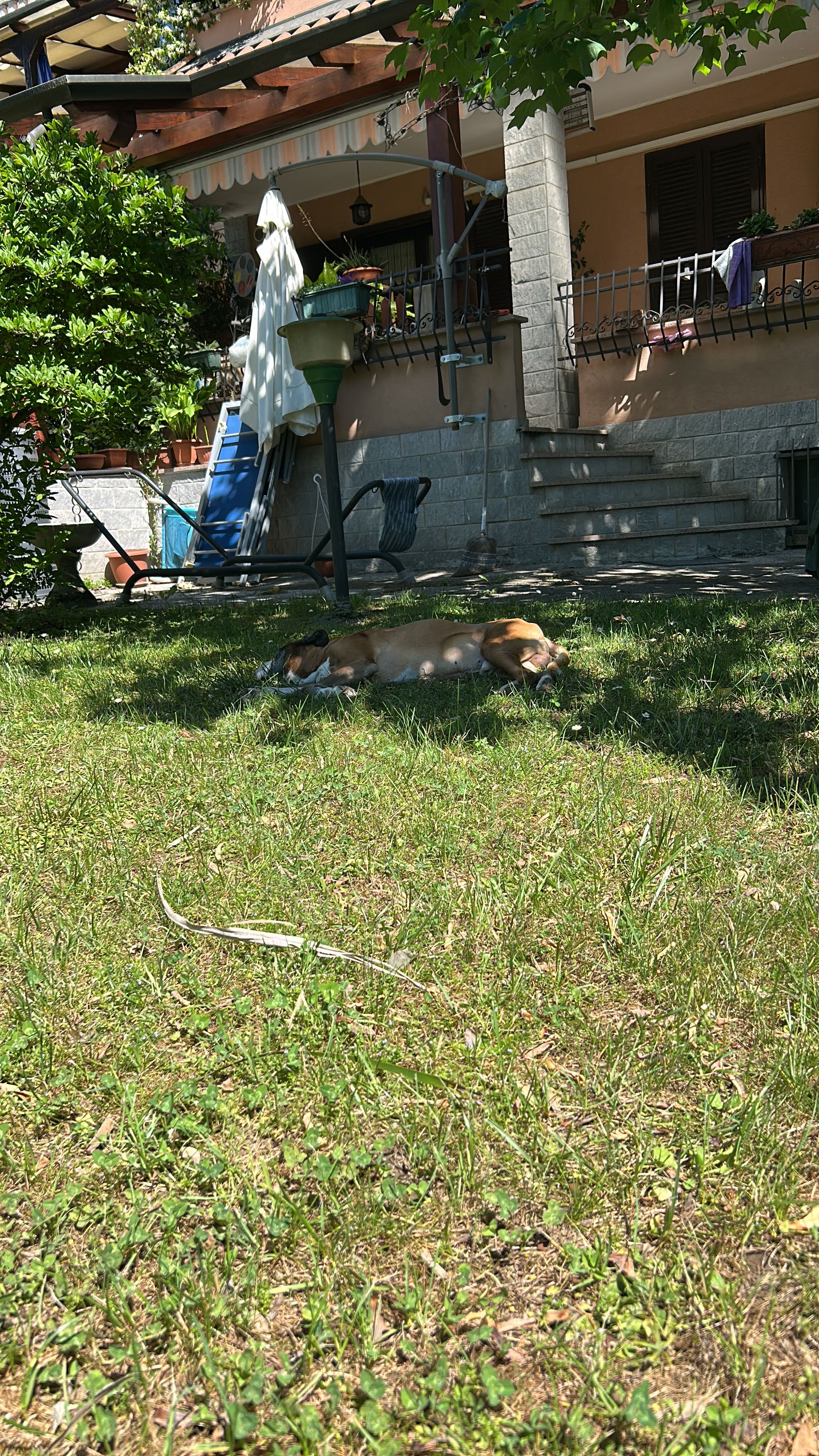 image-21