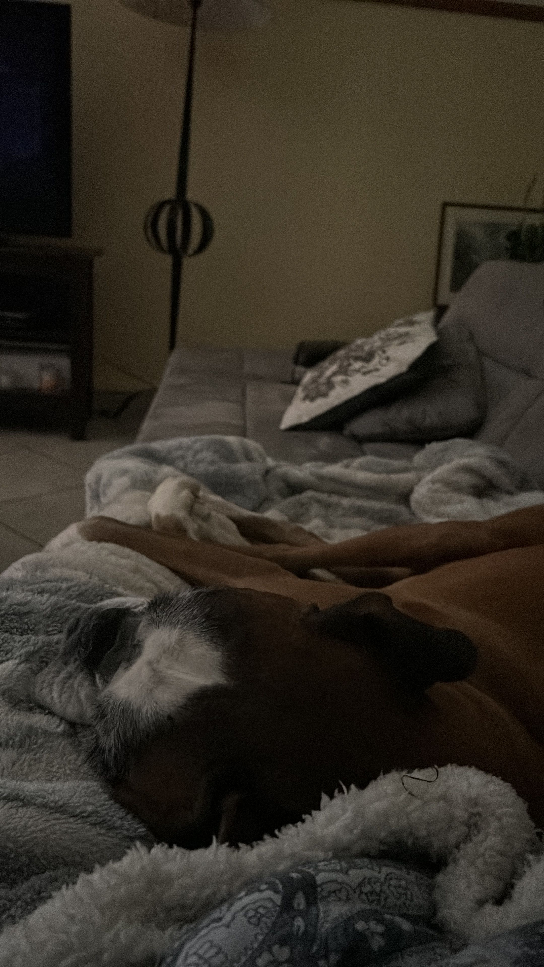 image-25