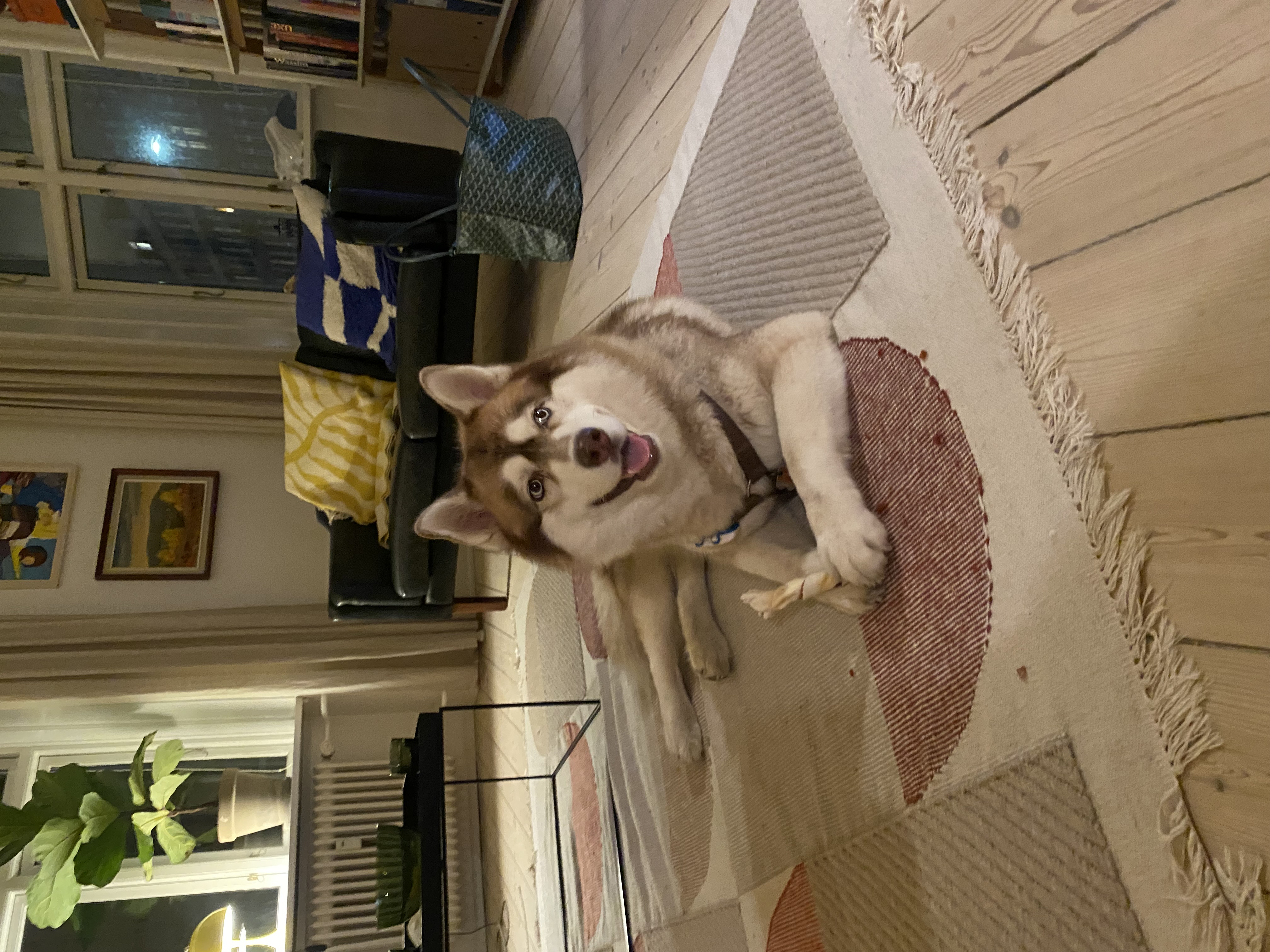 image-11