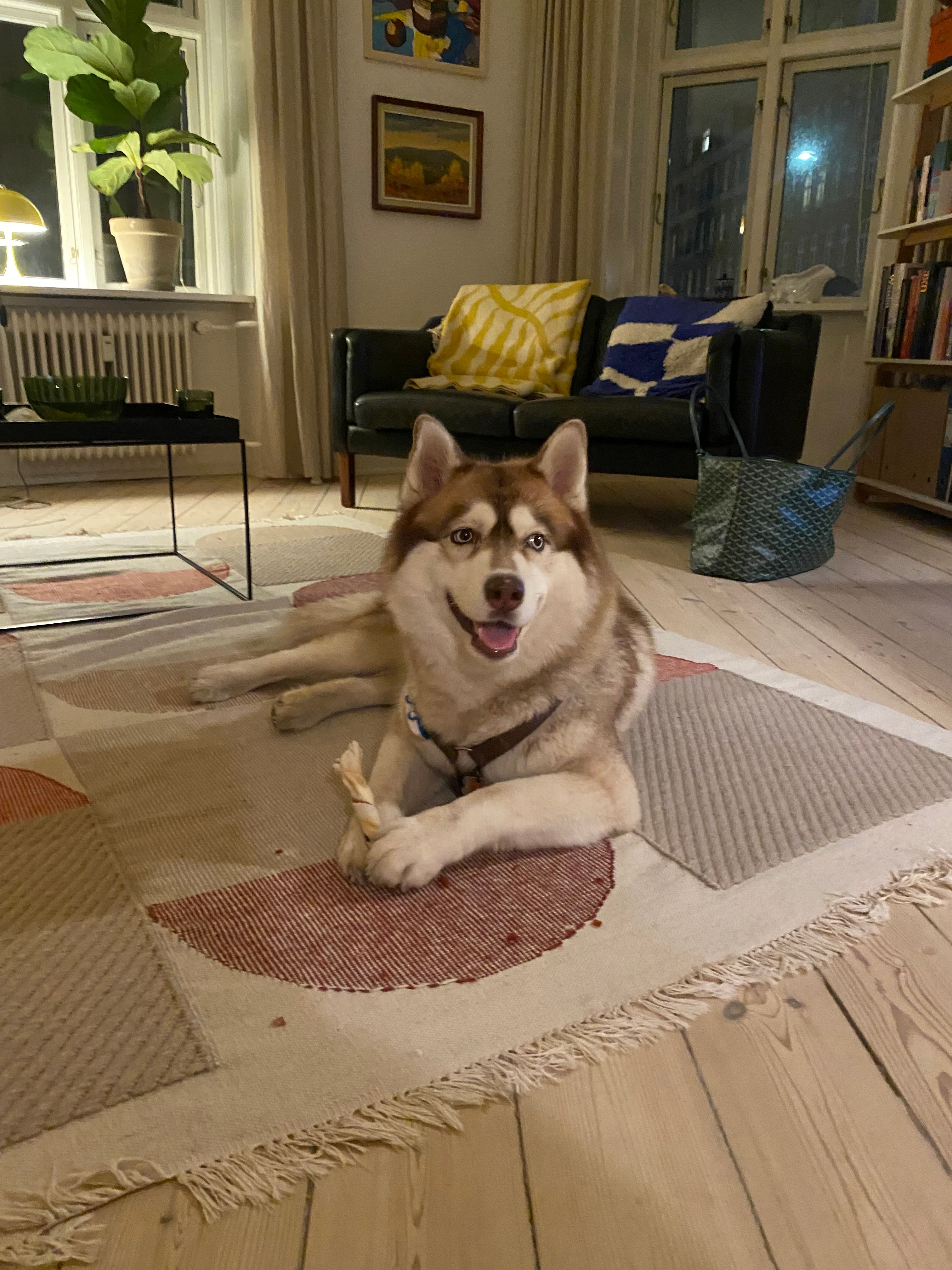 image-11