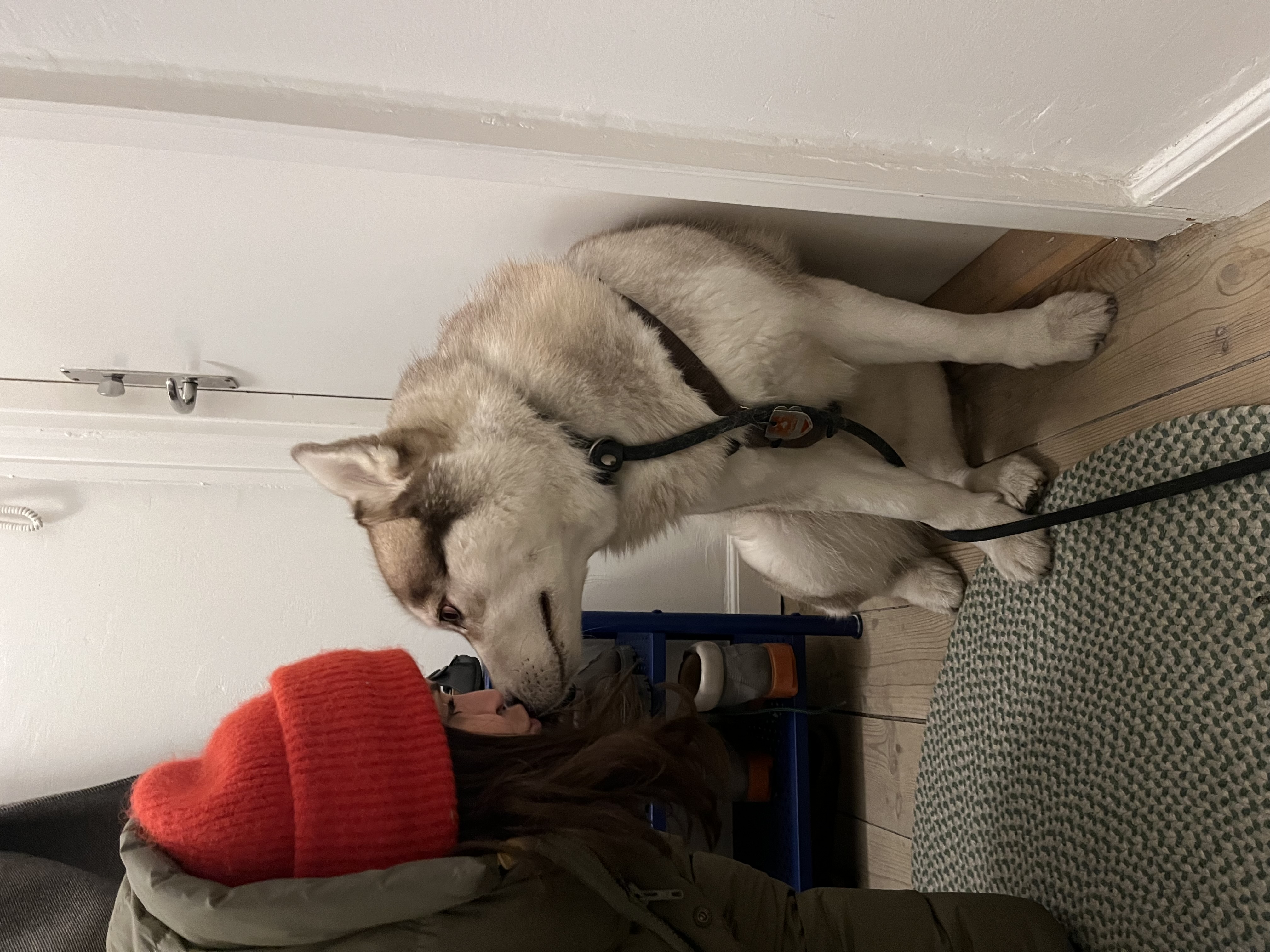 image-6