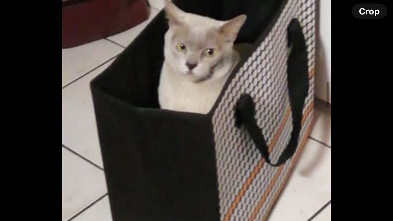 image-6