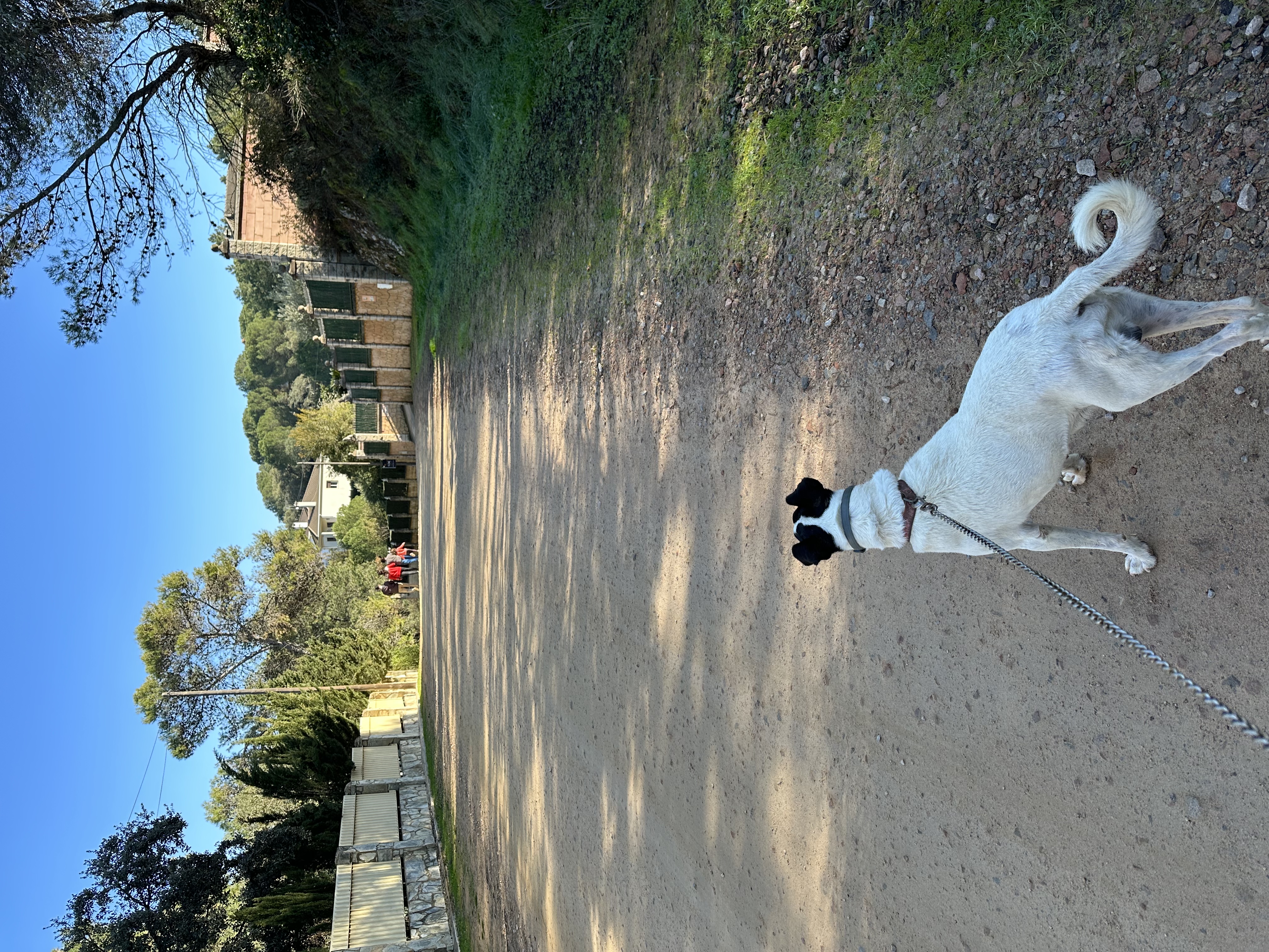 image-8