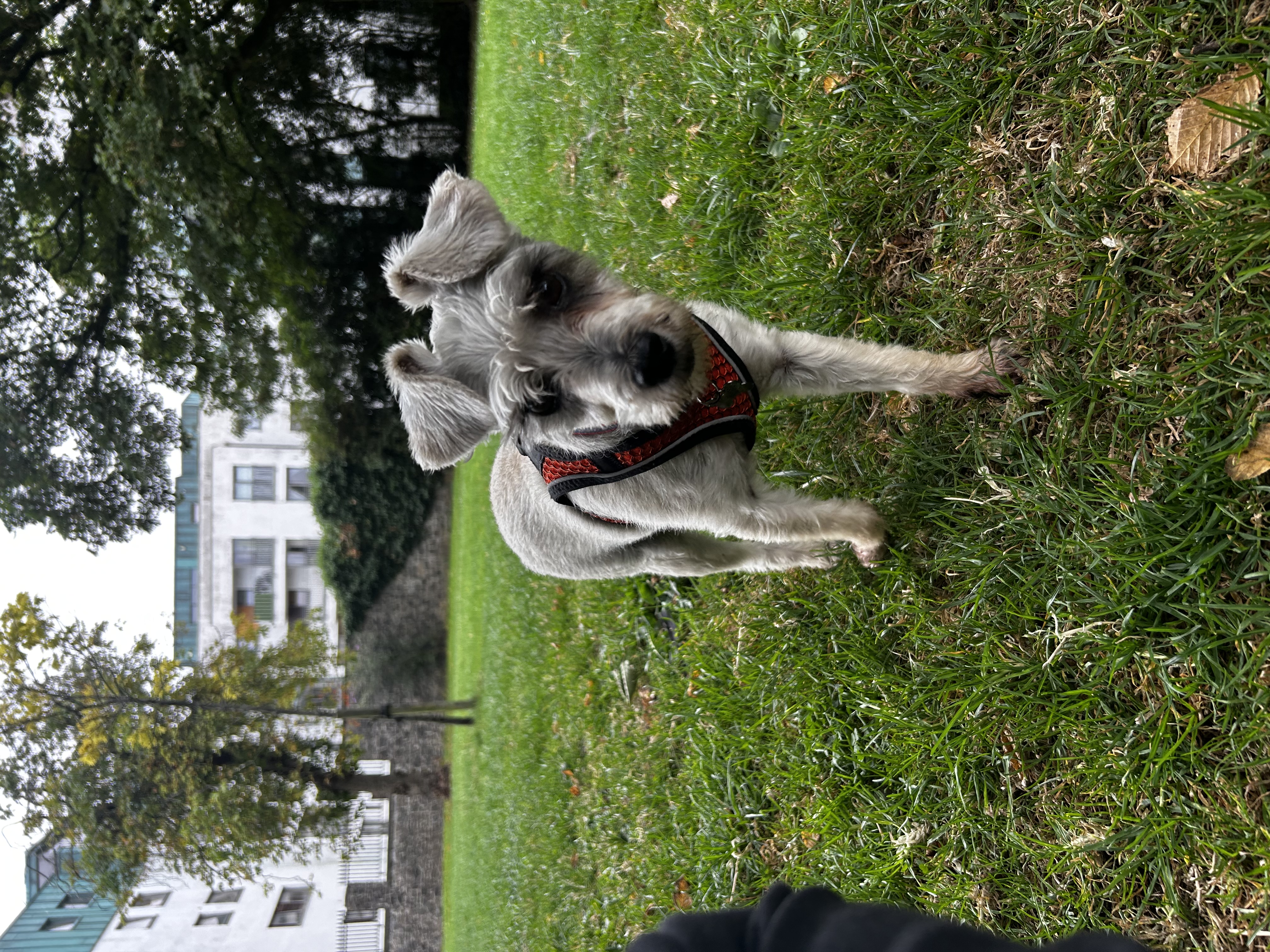 image-24
