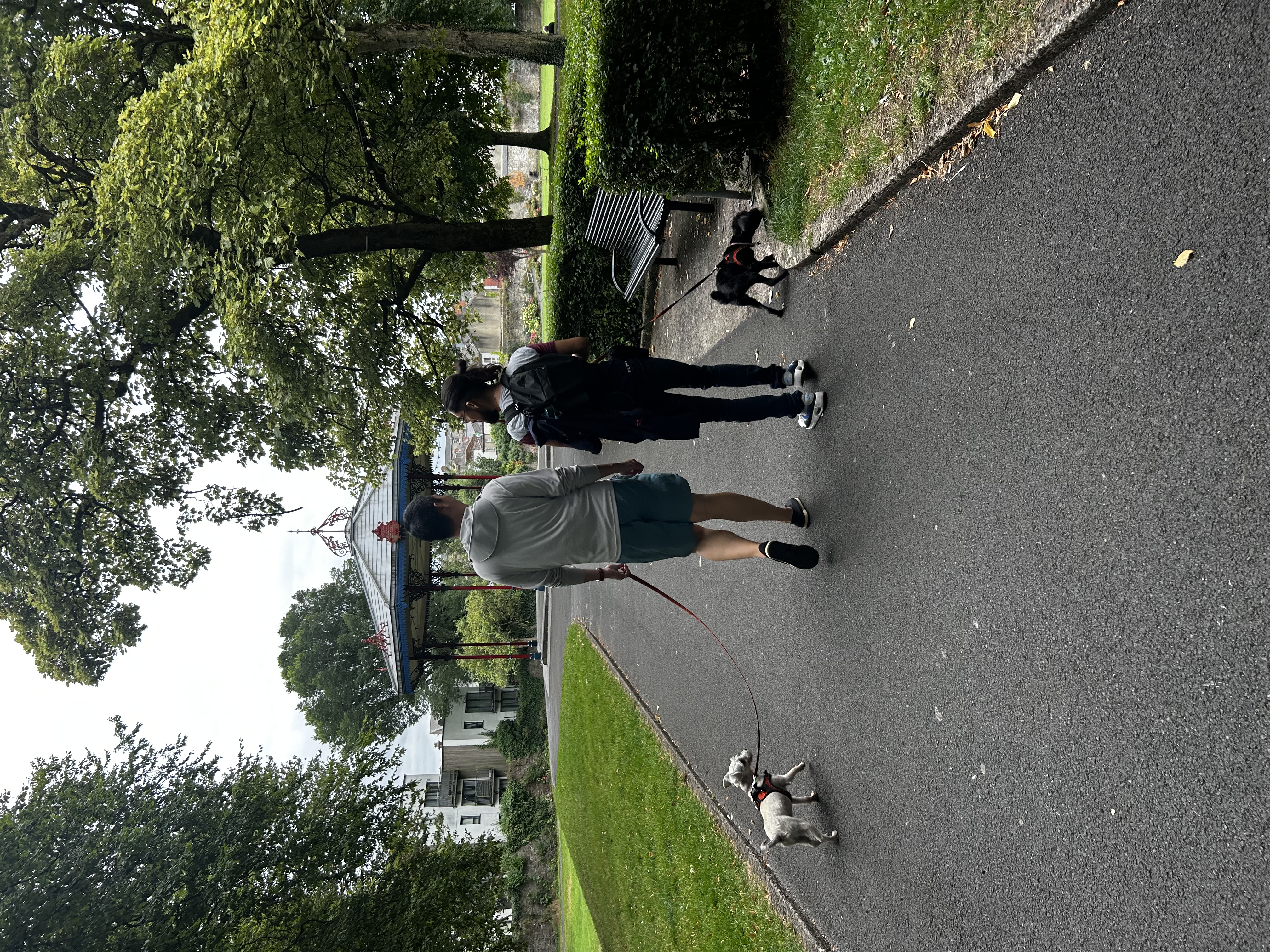 image-26