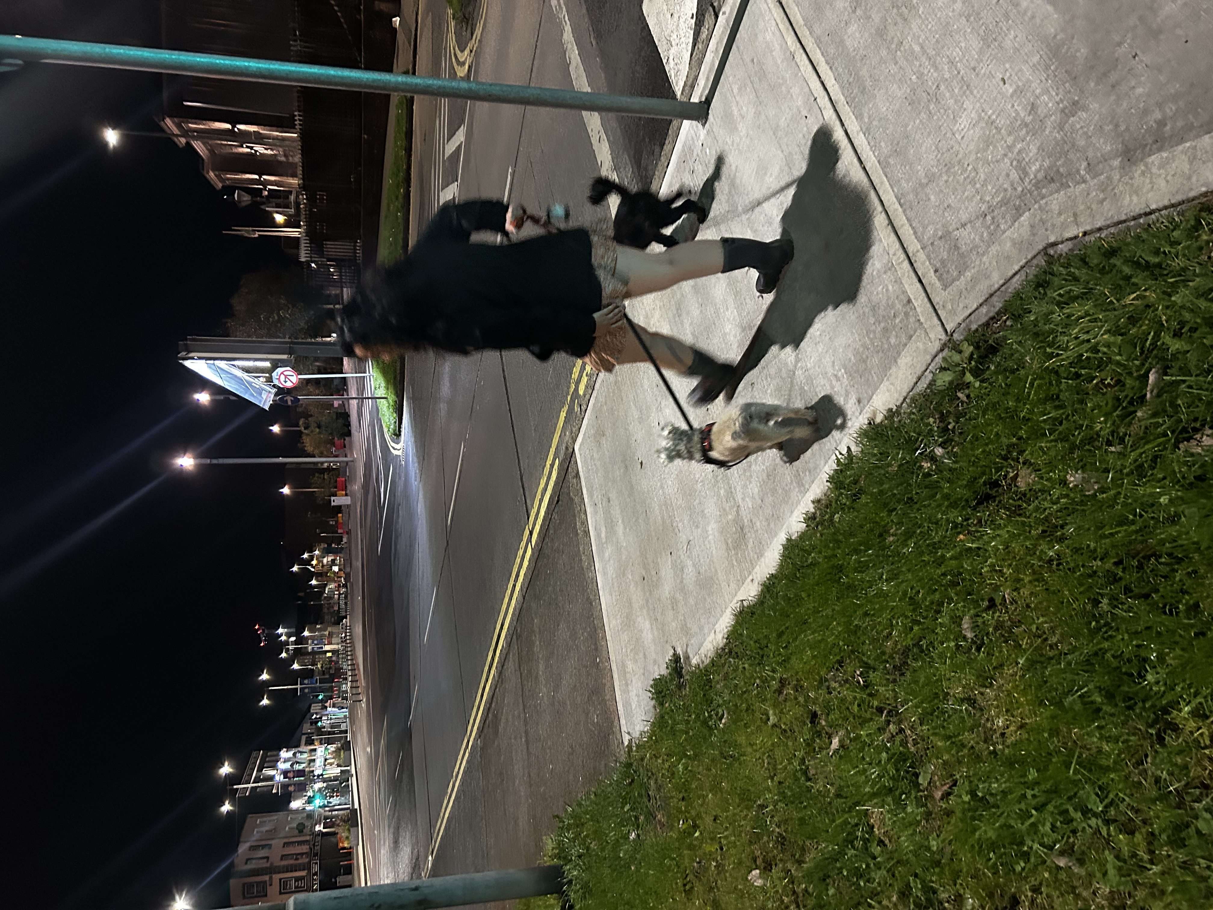 image-29