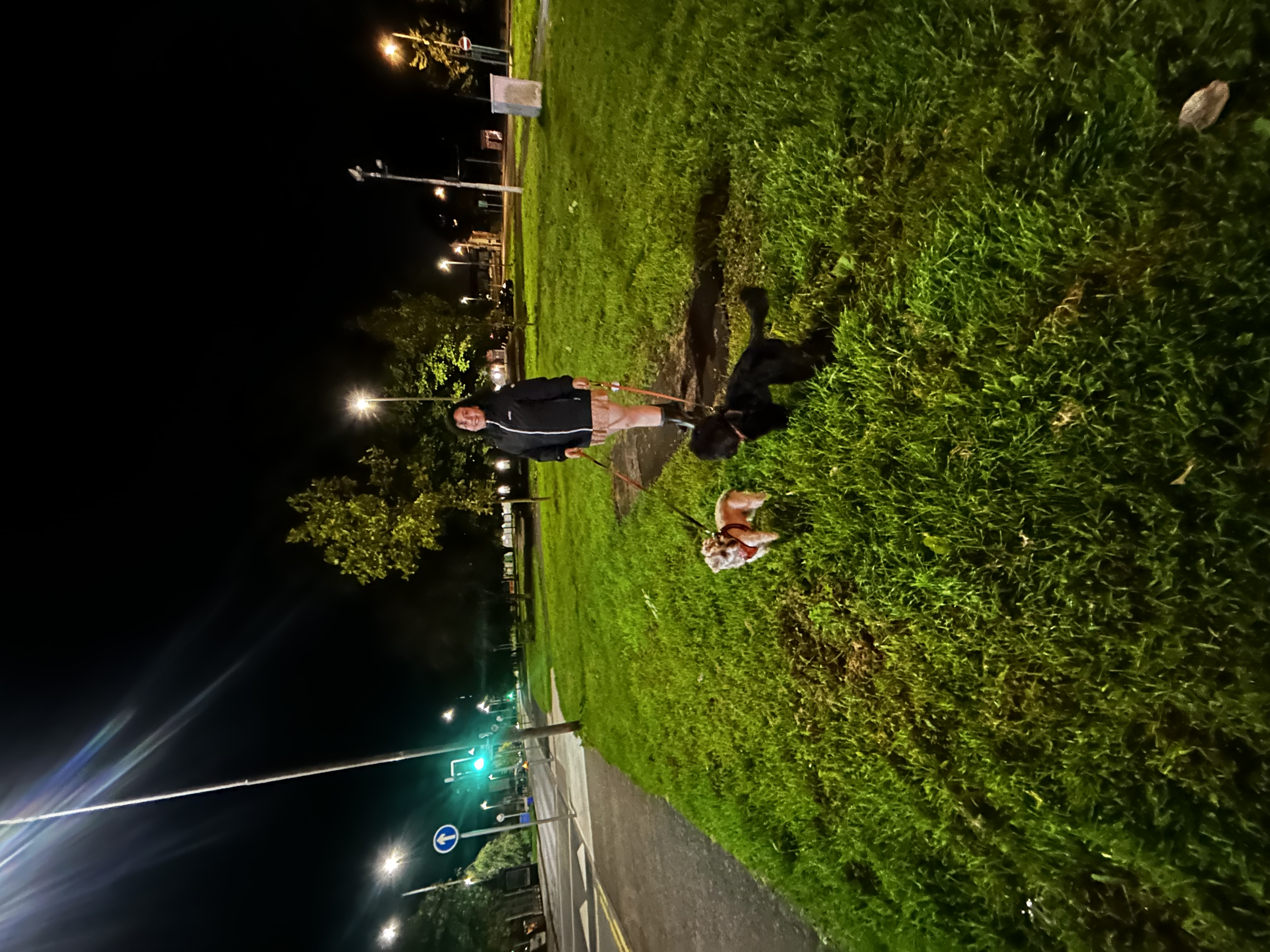 image-28