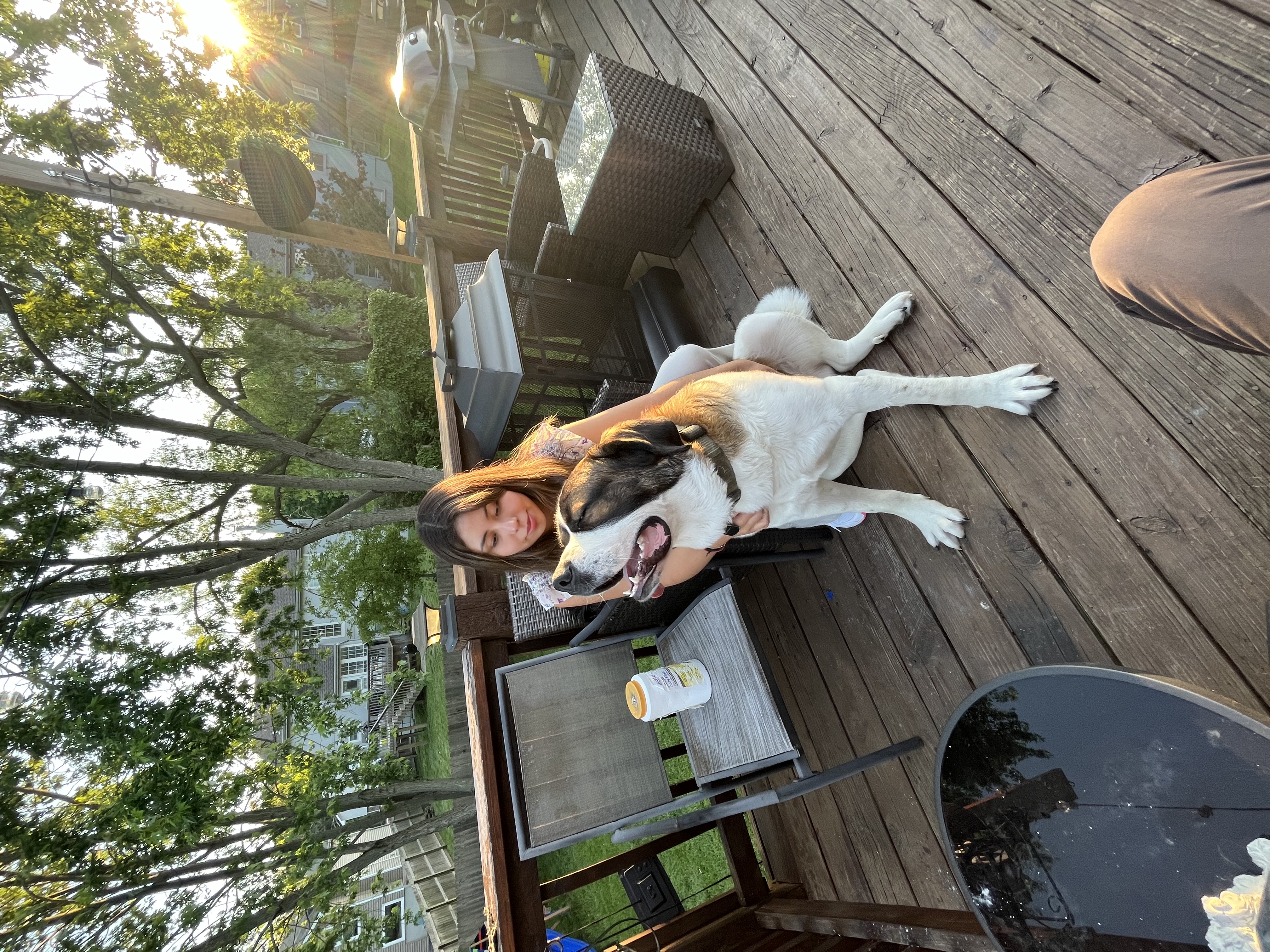 image-6