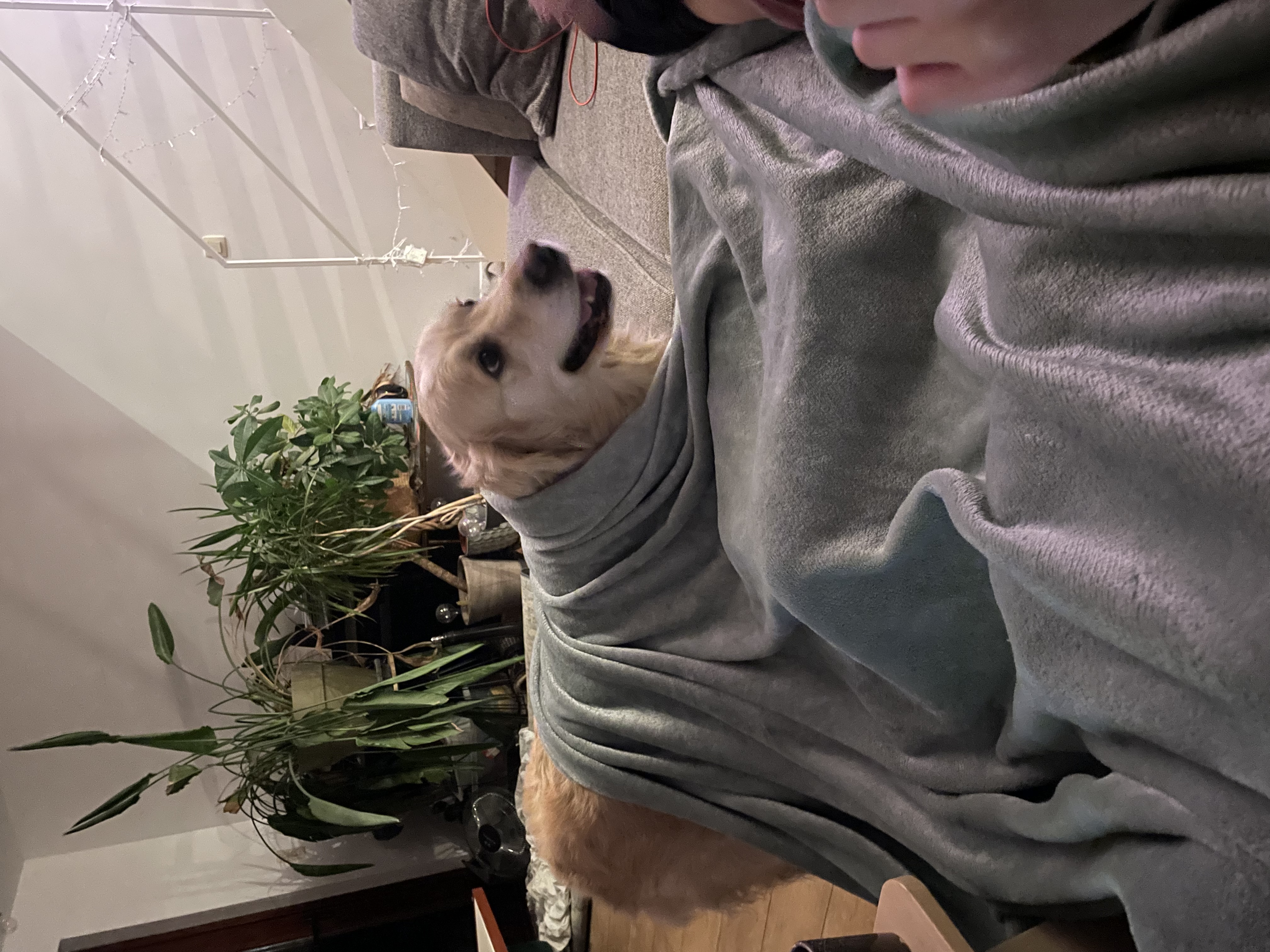 image-6