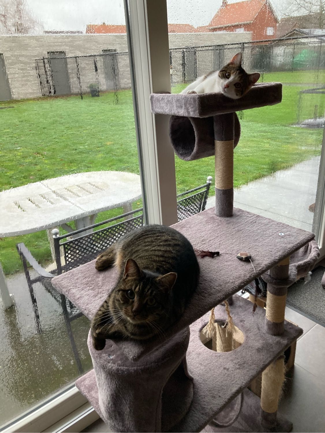 image-2