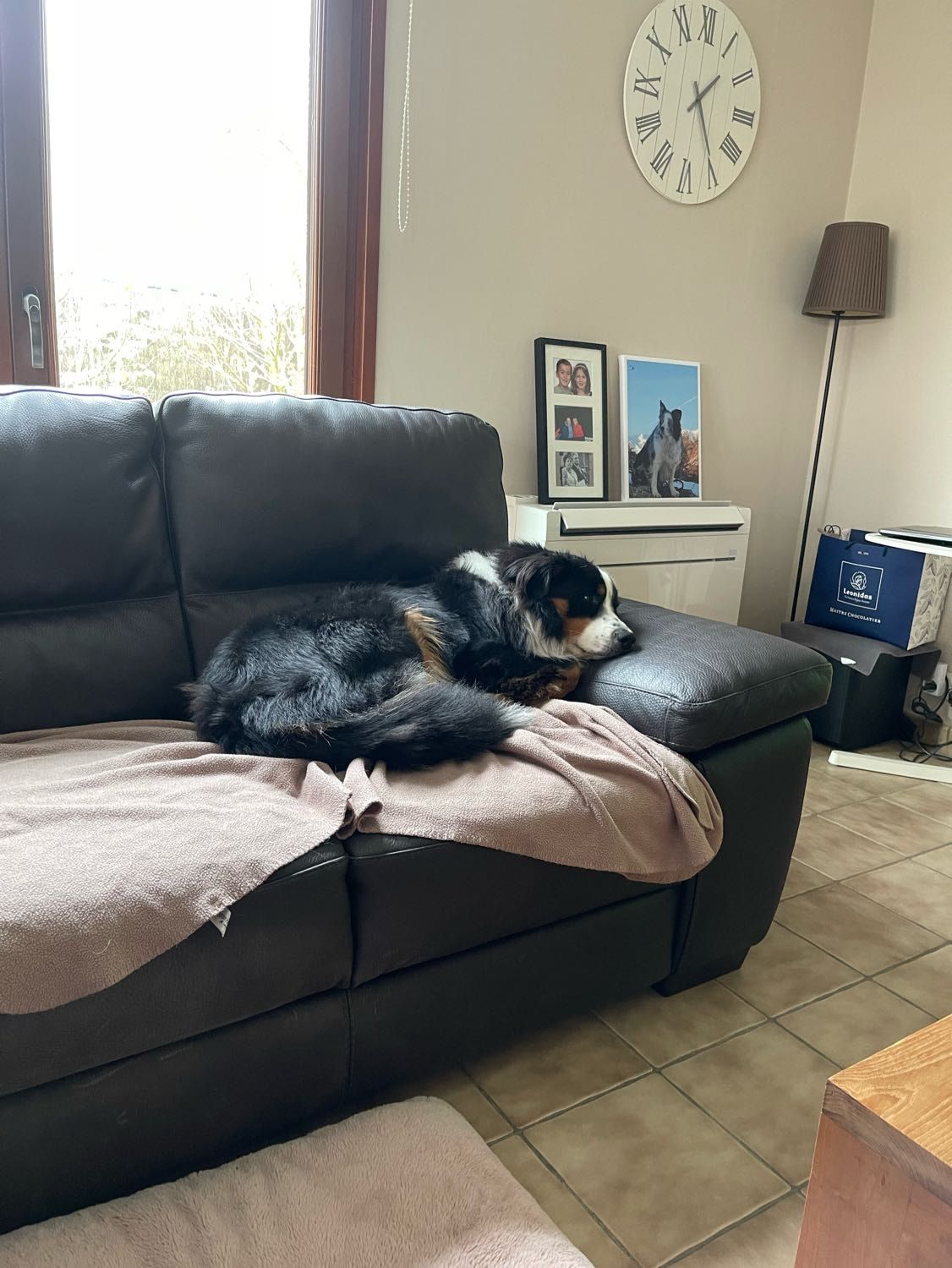 image-18