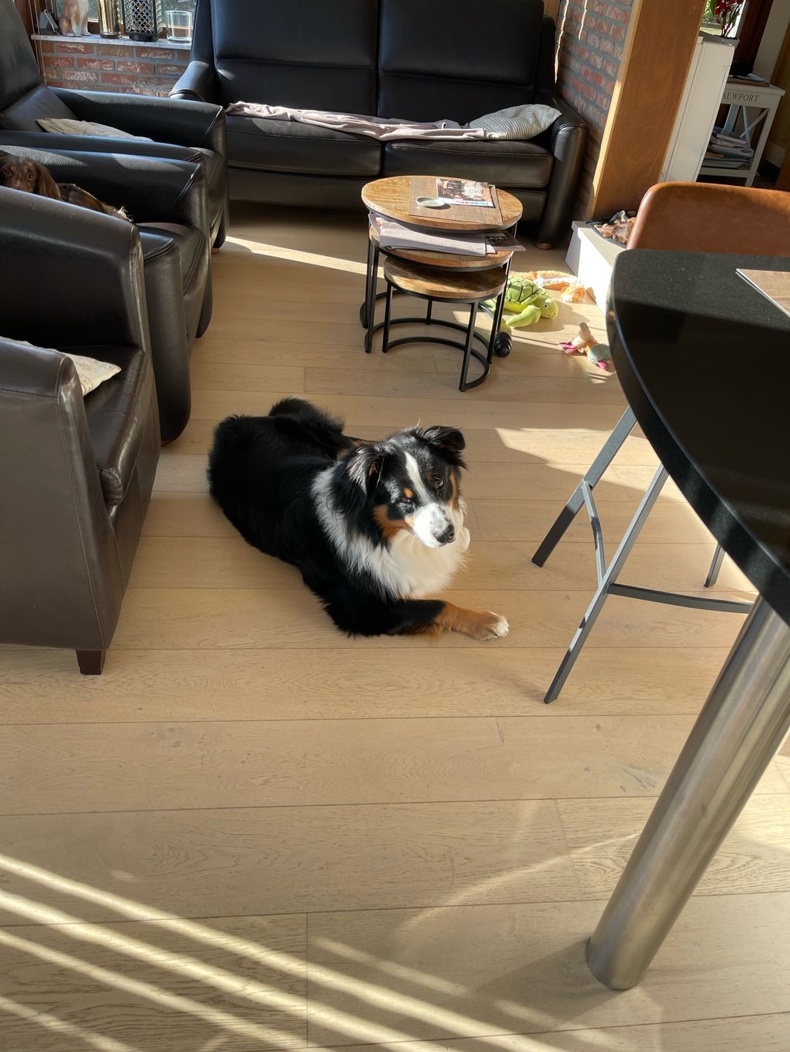 image-16