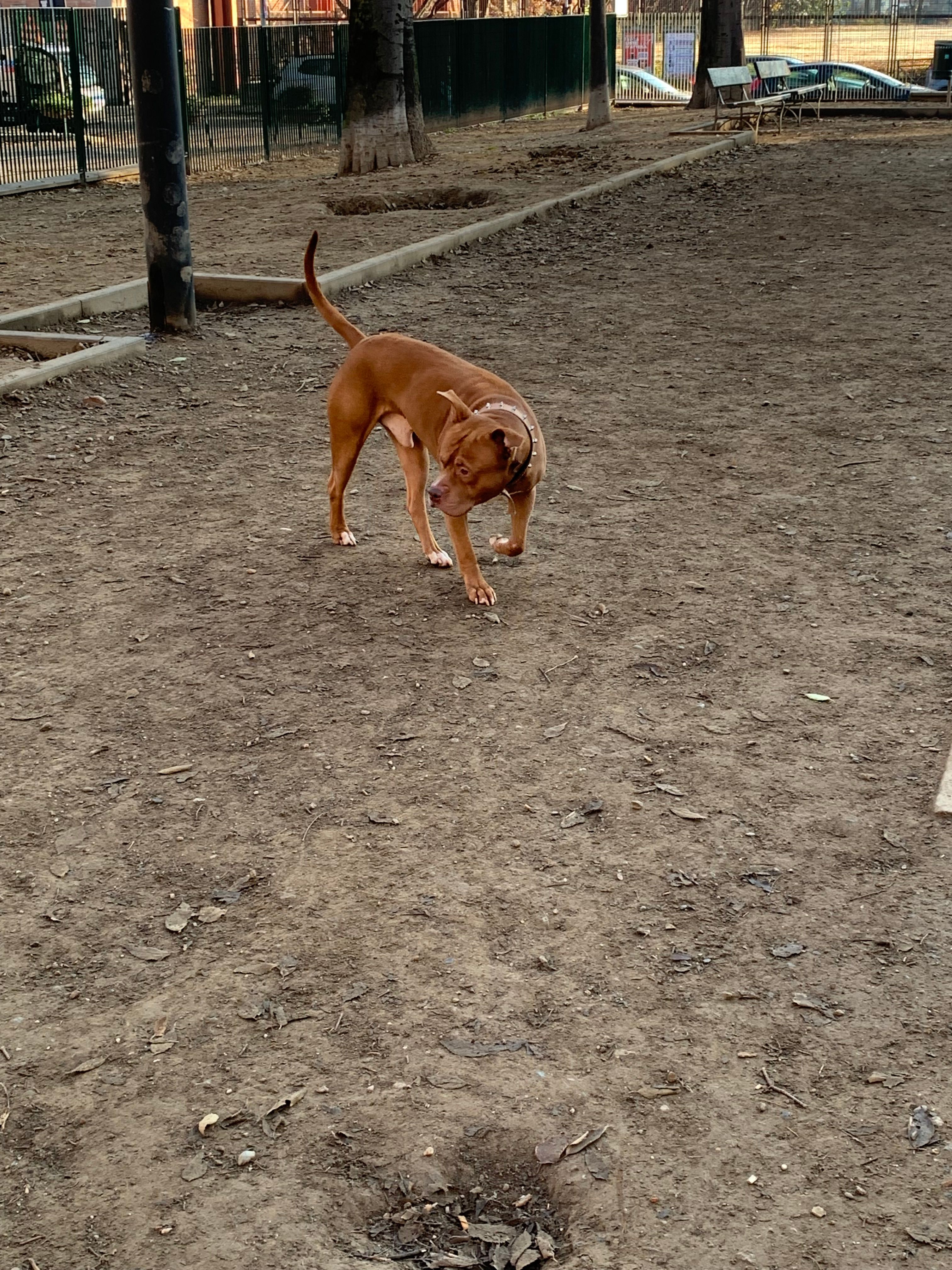 image-8