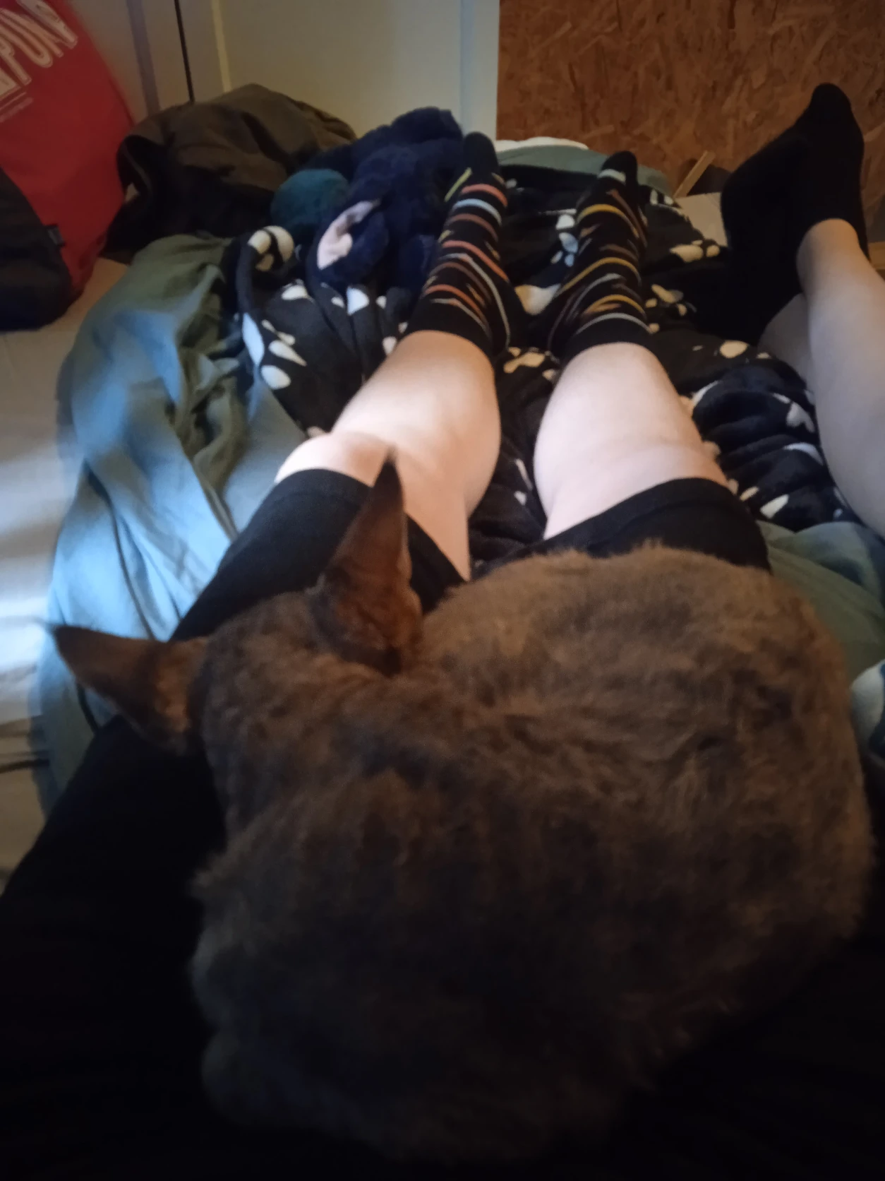 image-7