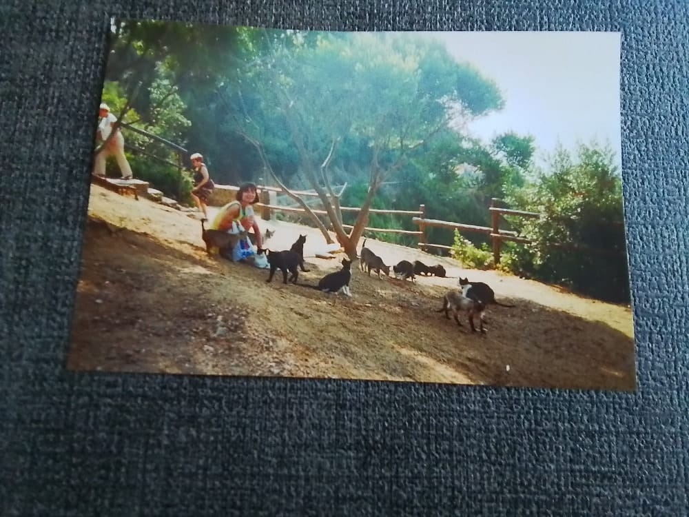 image-3