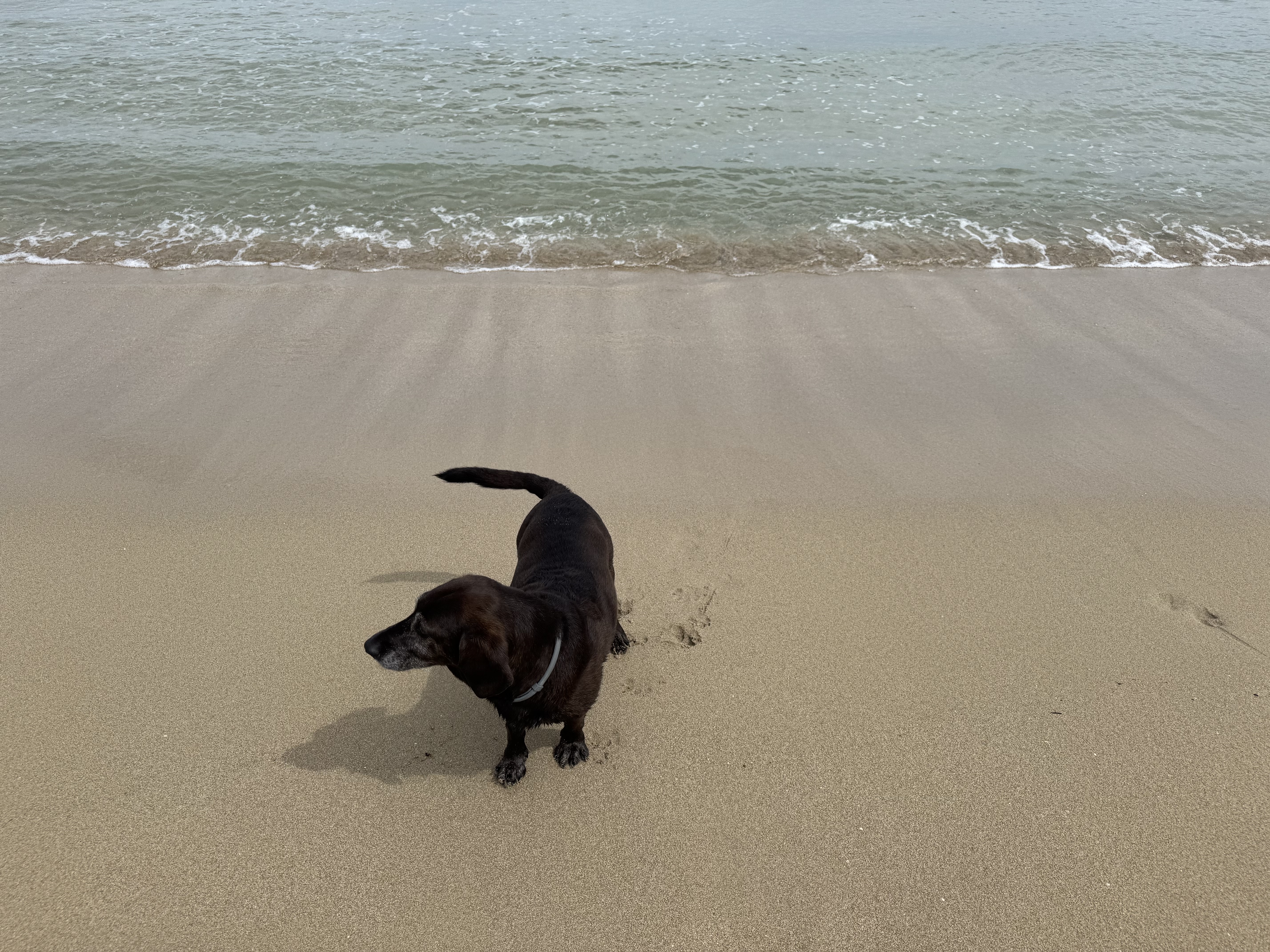 image-7