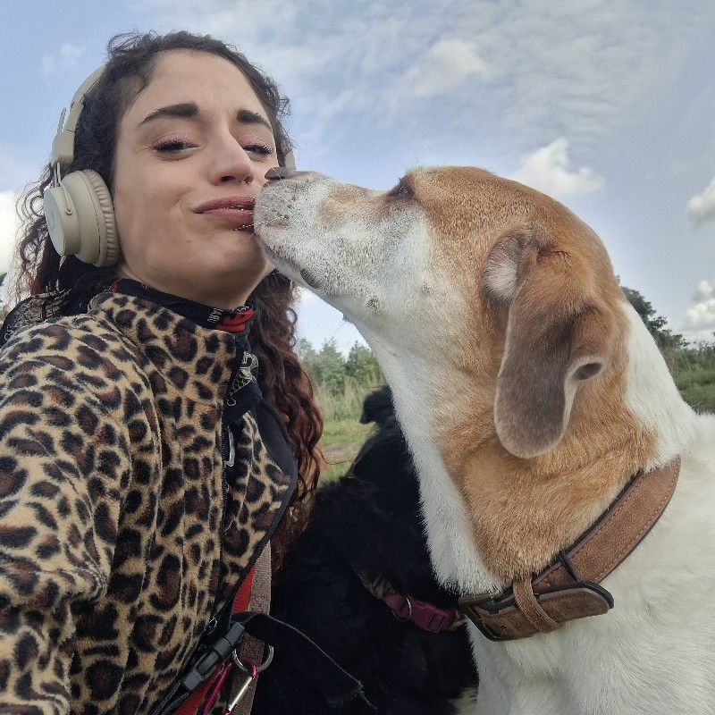 Dog