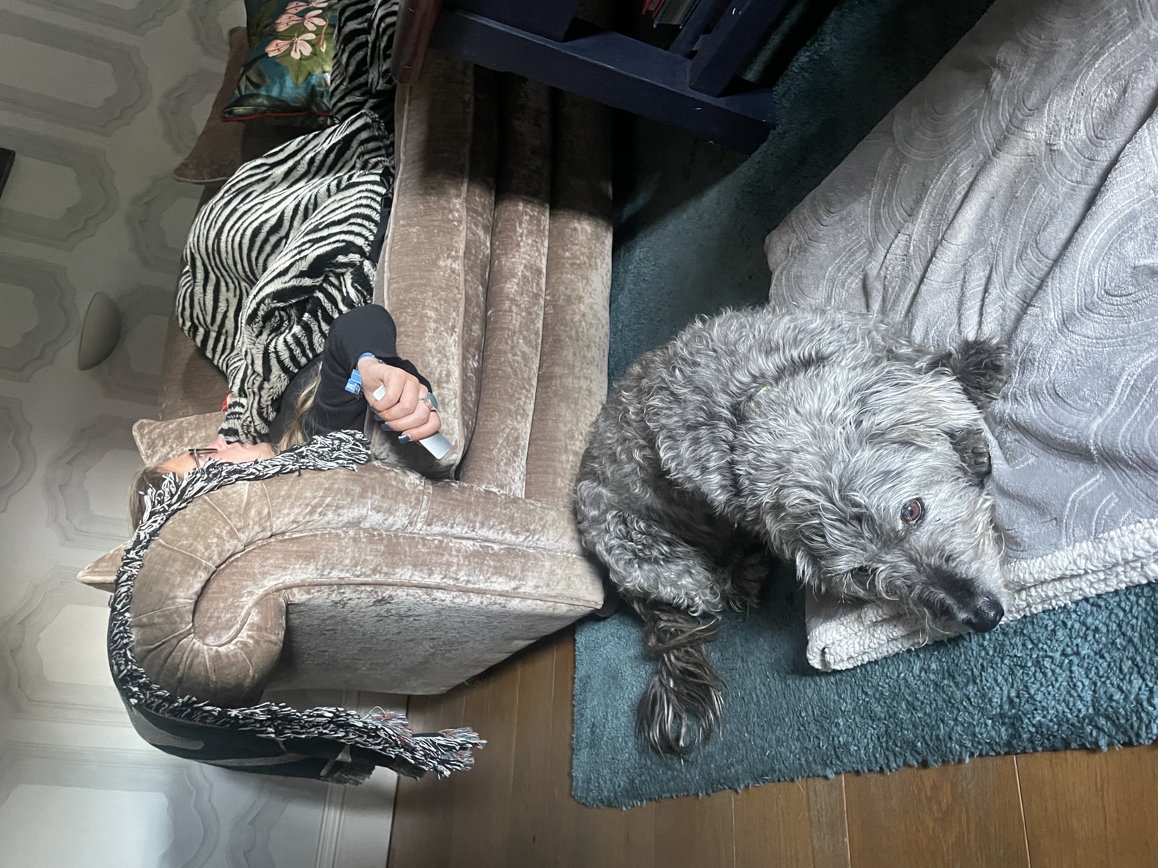 image-12
