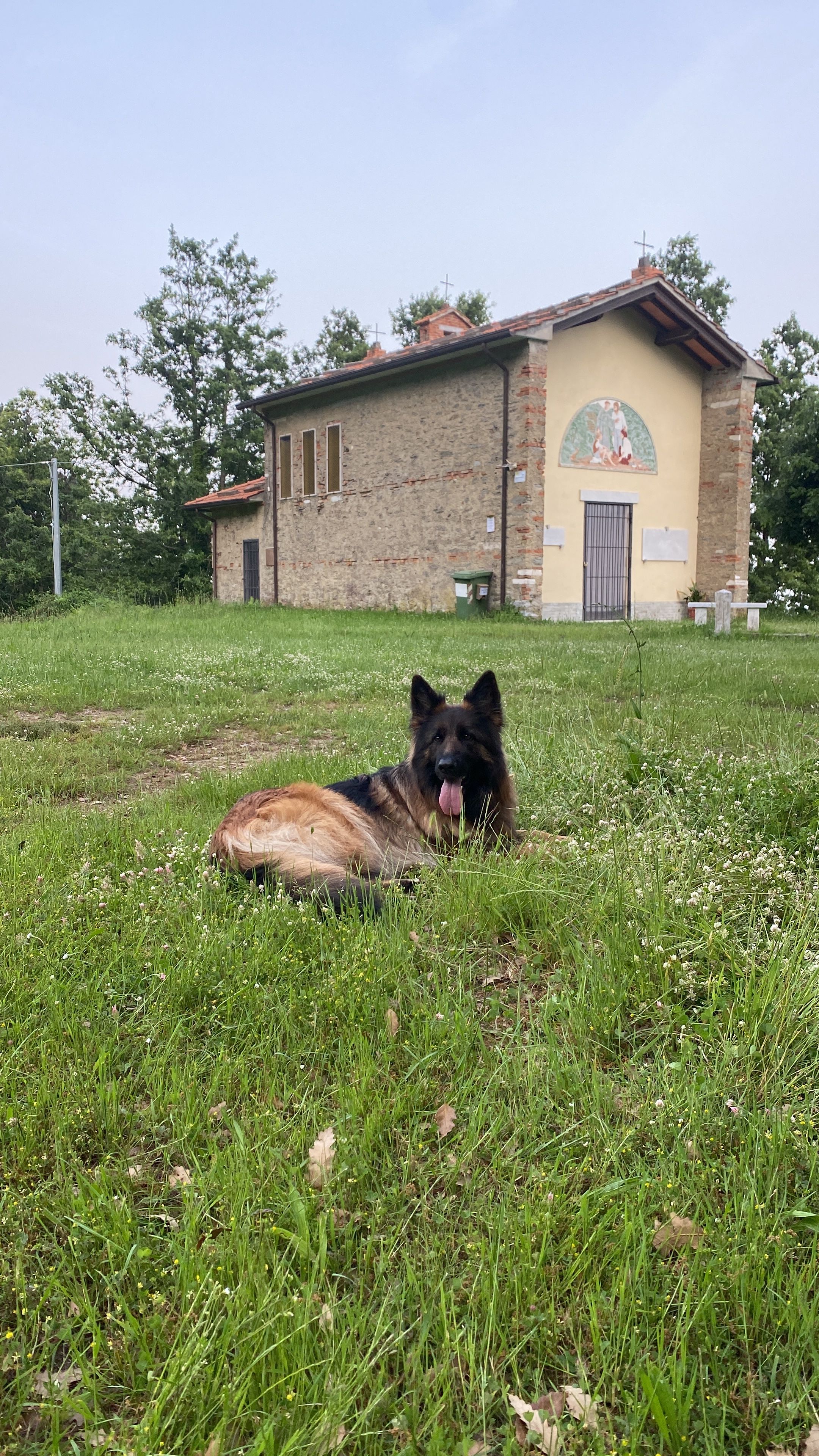 image-10