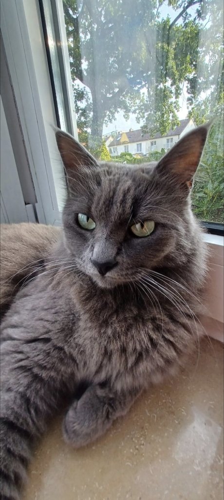 Chloe