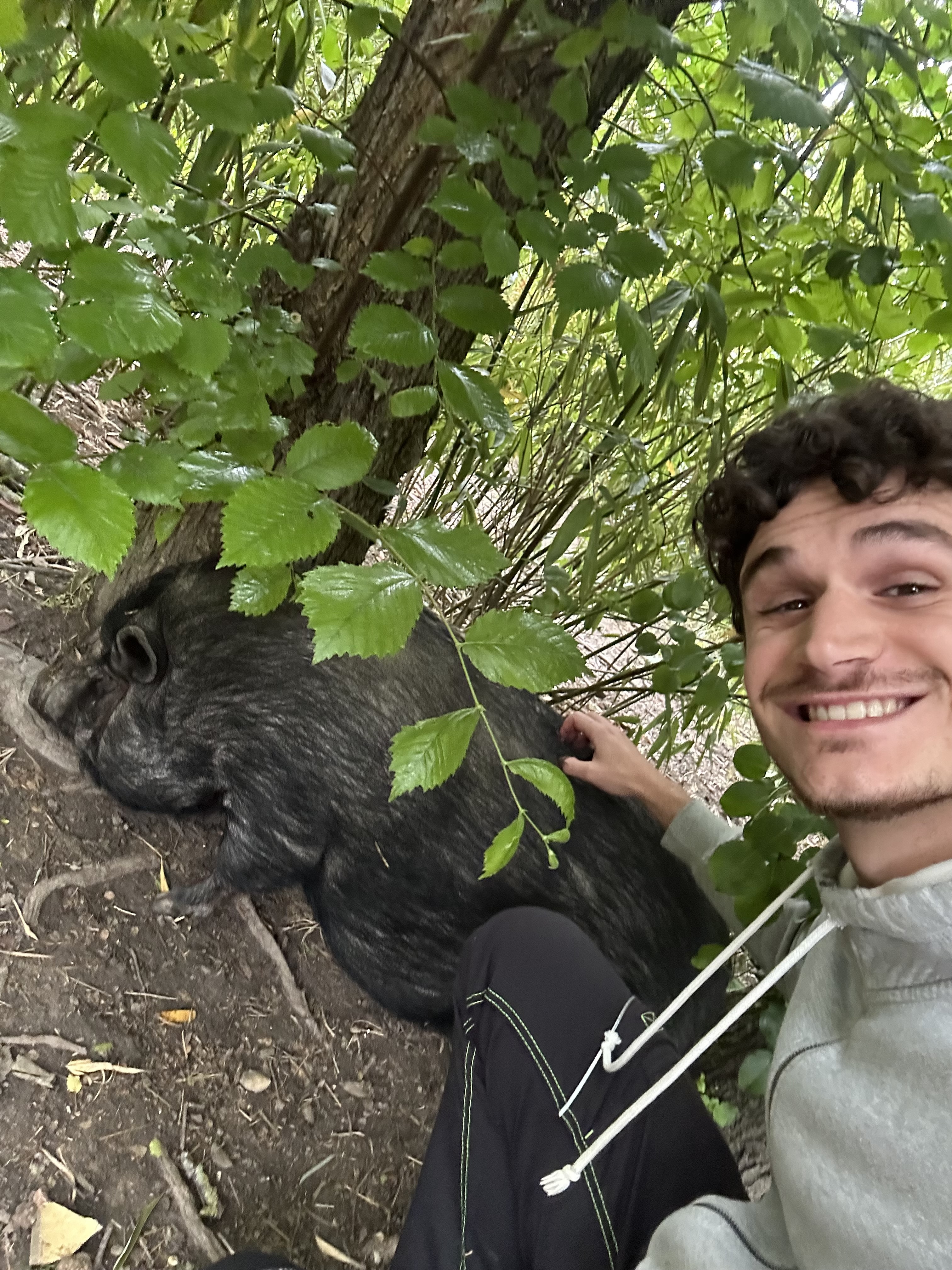 image-12