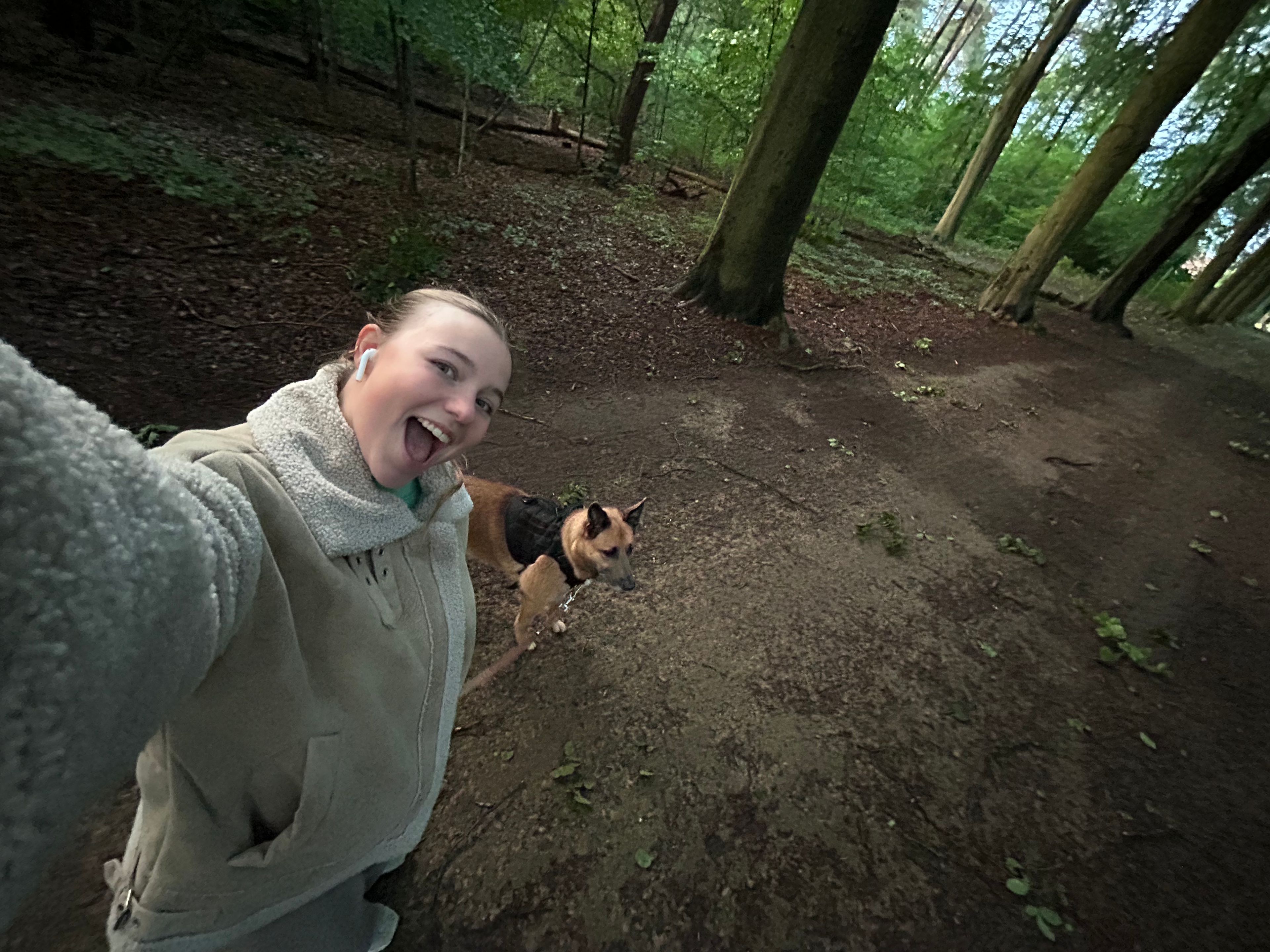 image-7