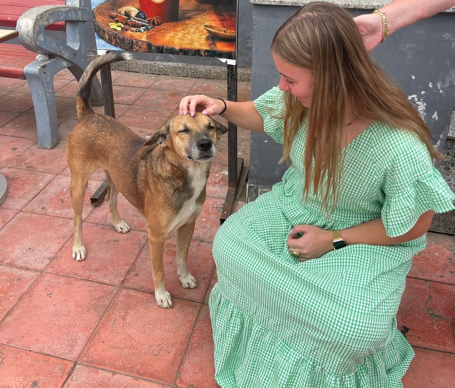 image-8