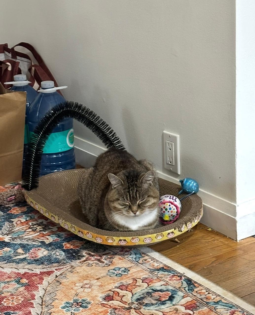image-13
