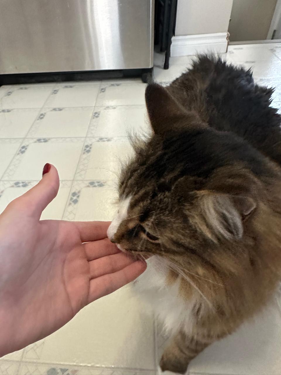image-6