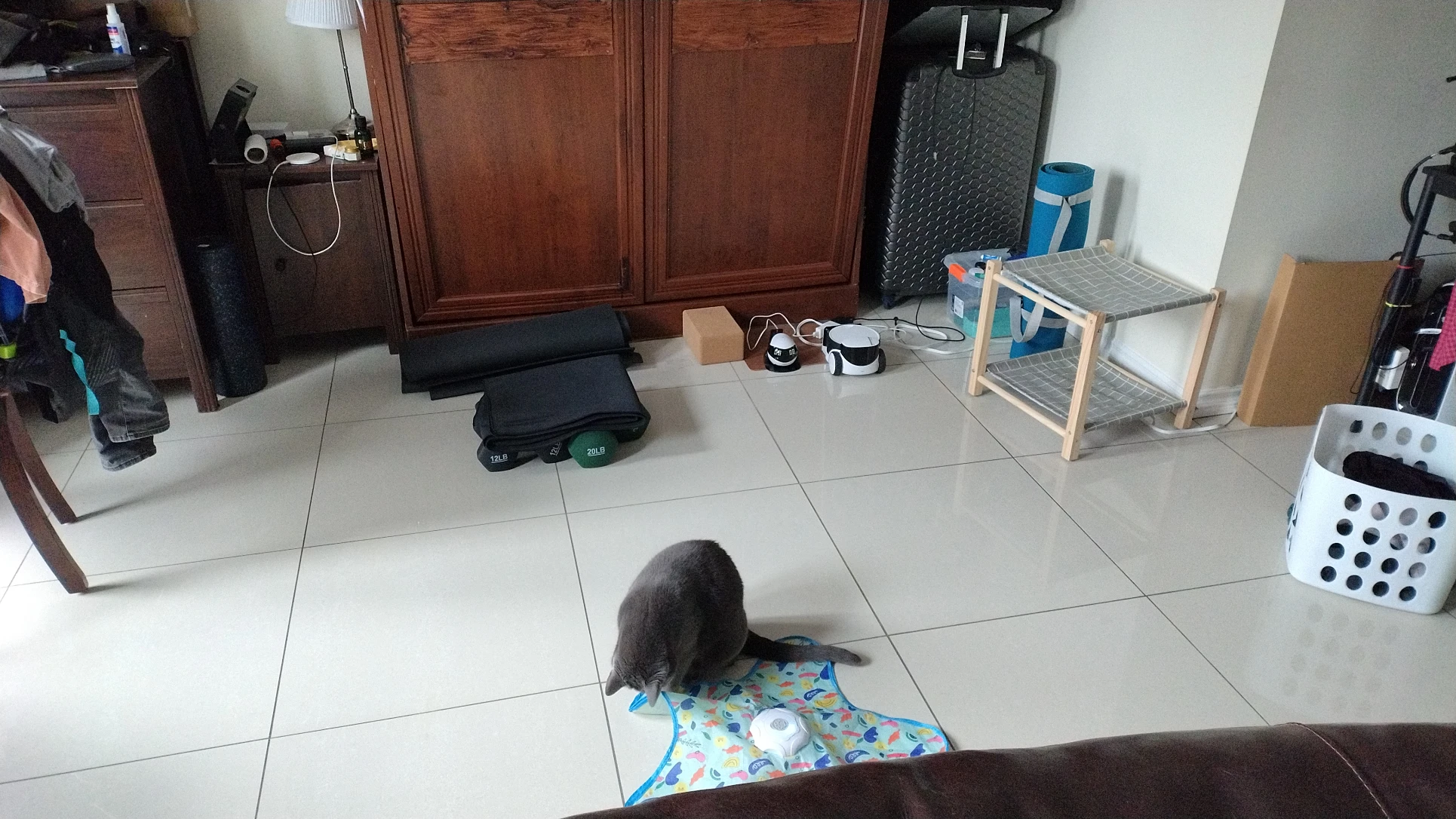 image-15