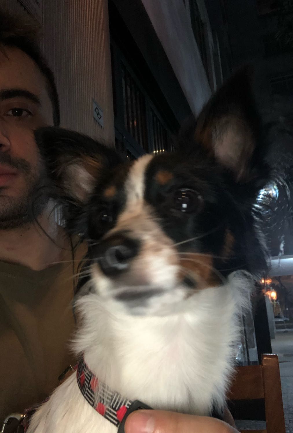 image-7