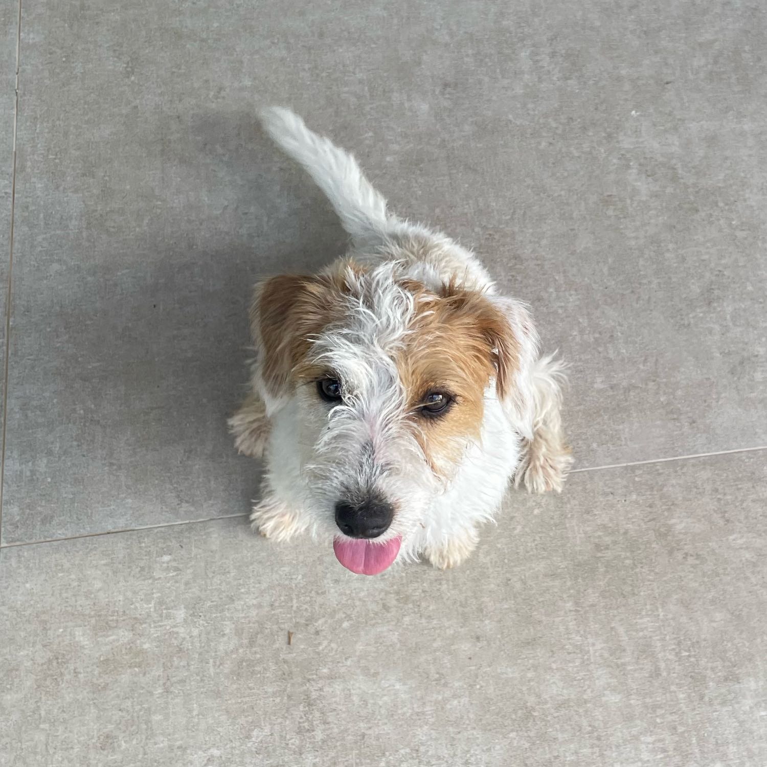 Amora Granola