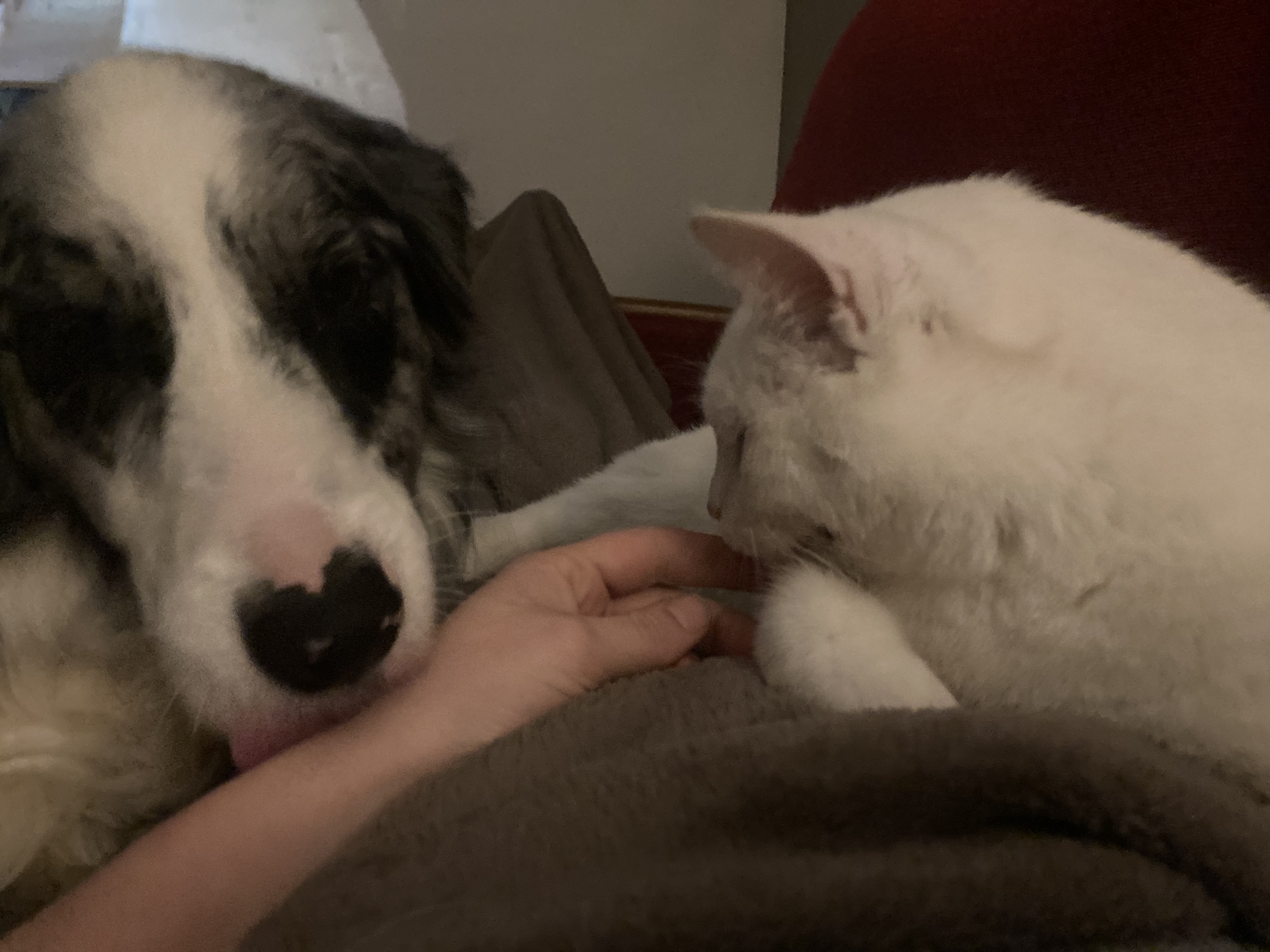 image-6