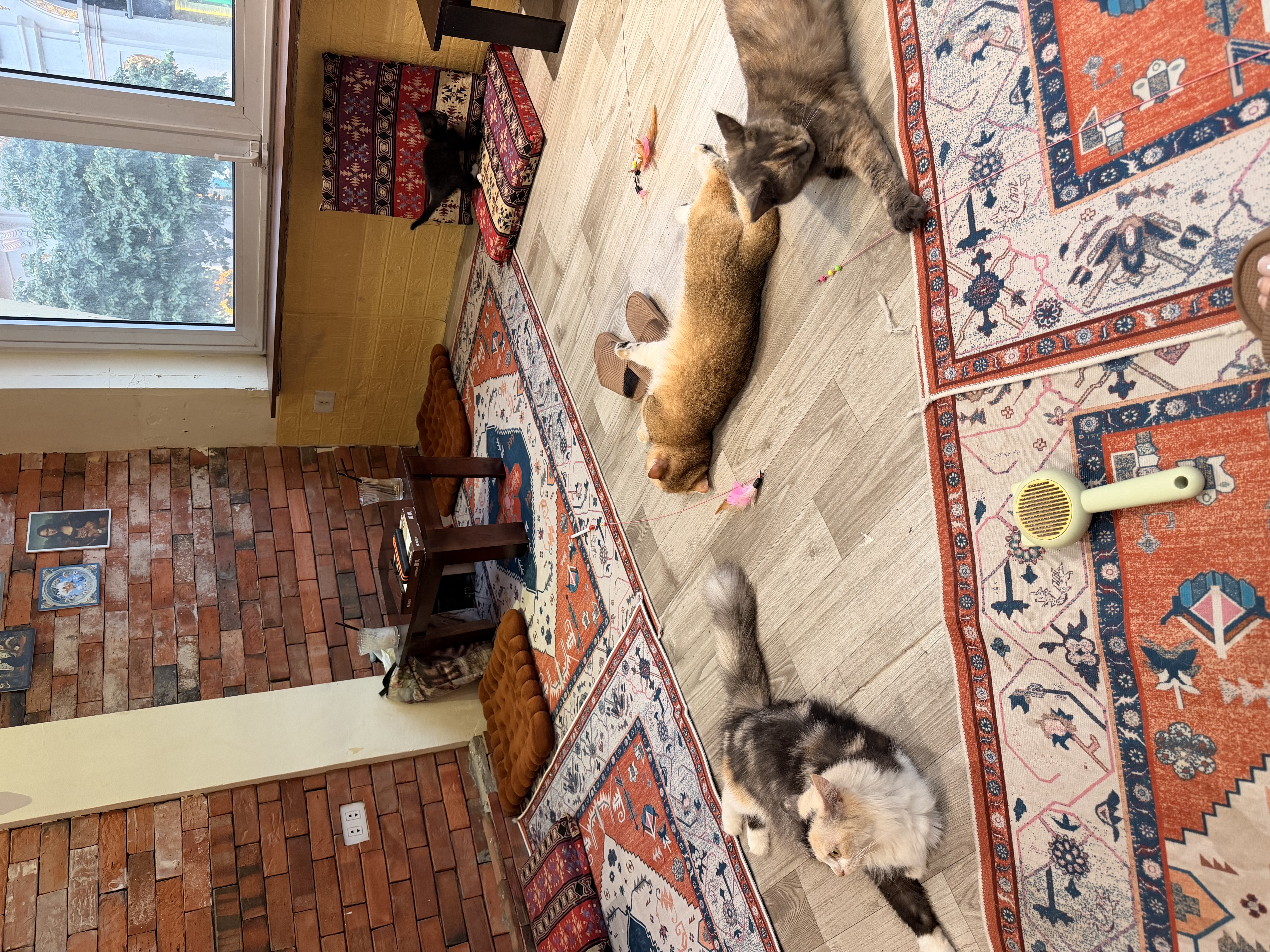 image-7